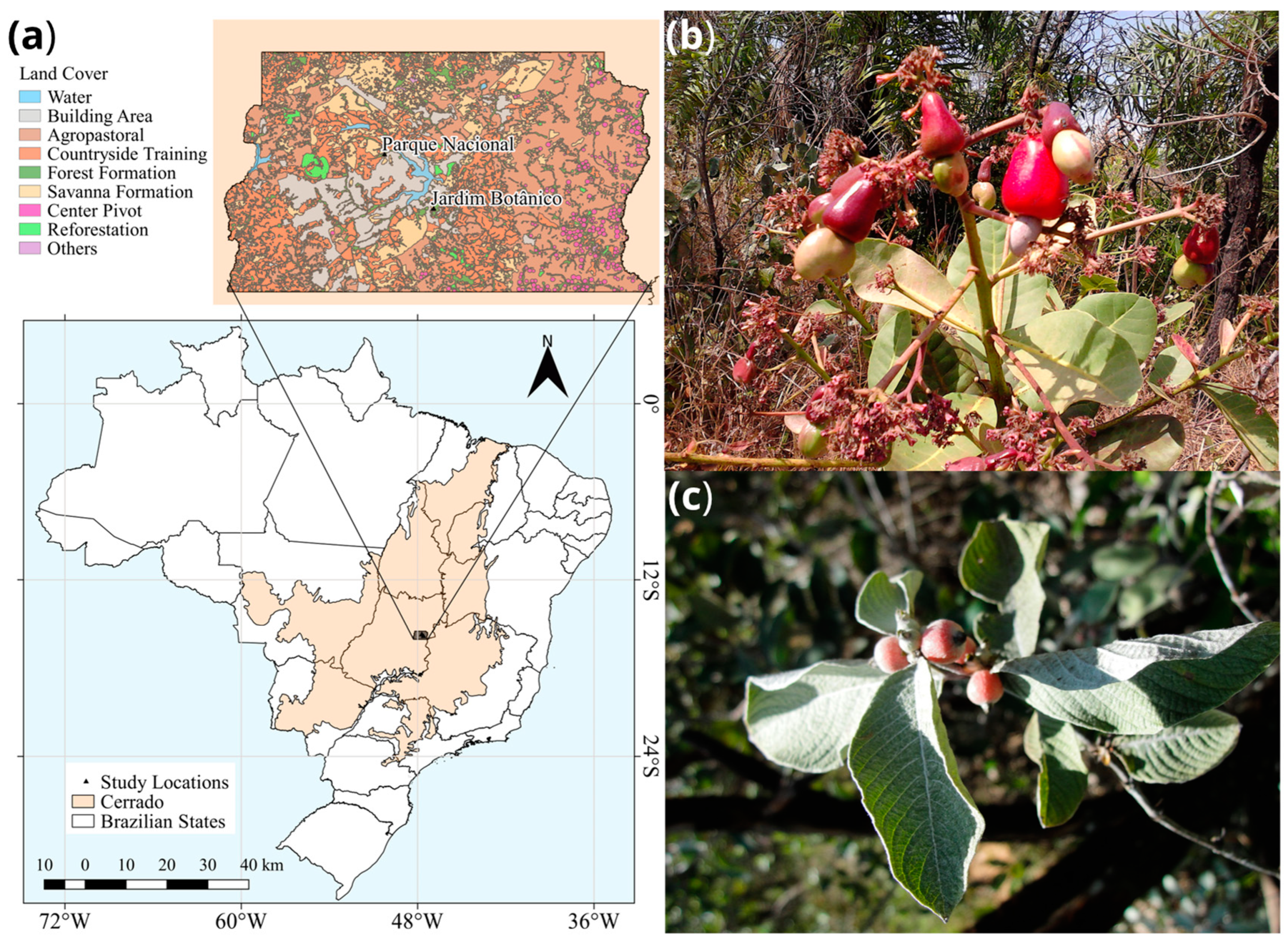 Diversity 15 01010 g001