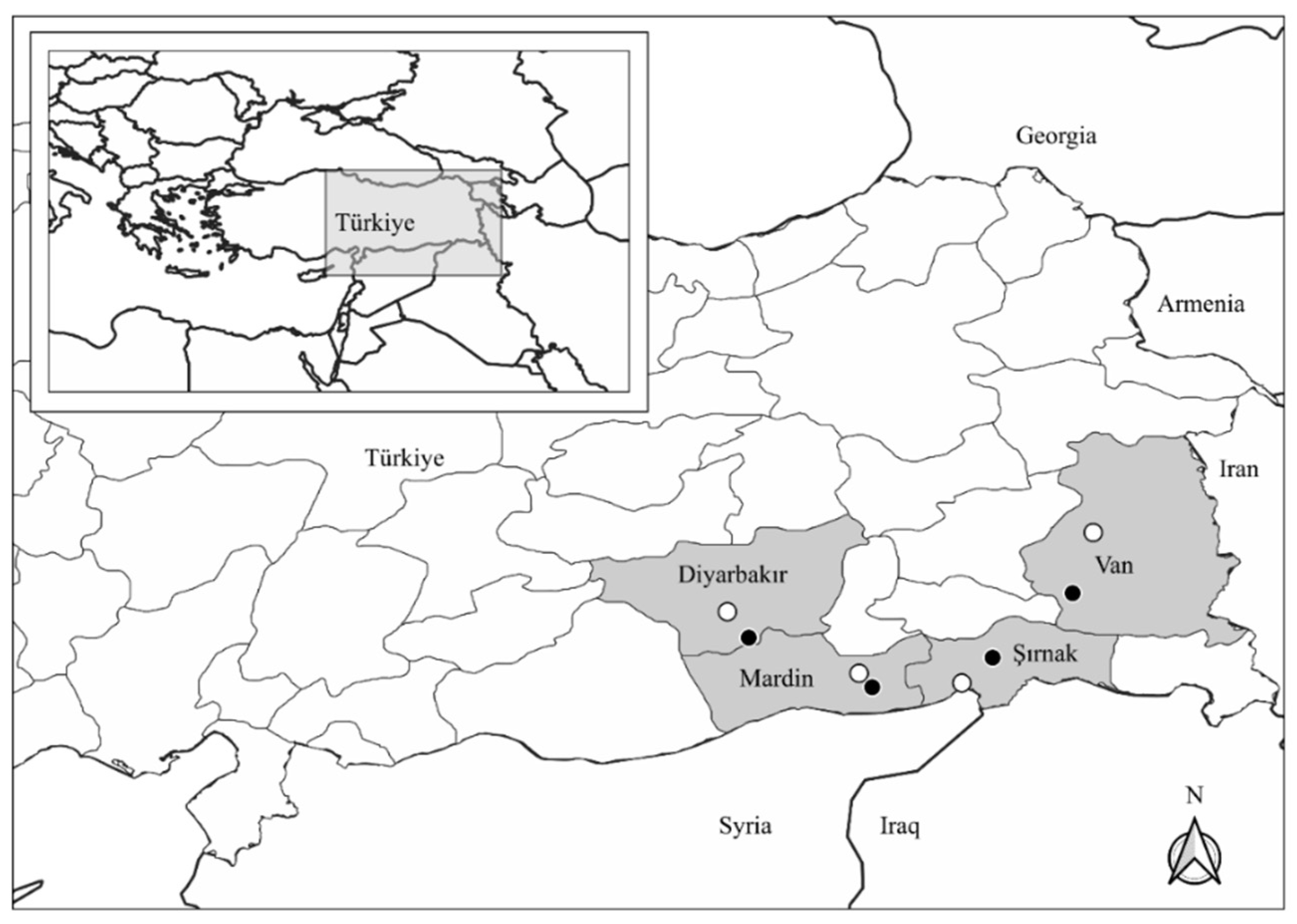 Diversity 15 01016 g001