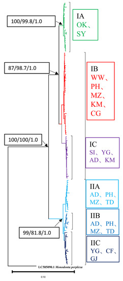 Diversity 15 01021 g003
