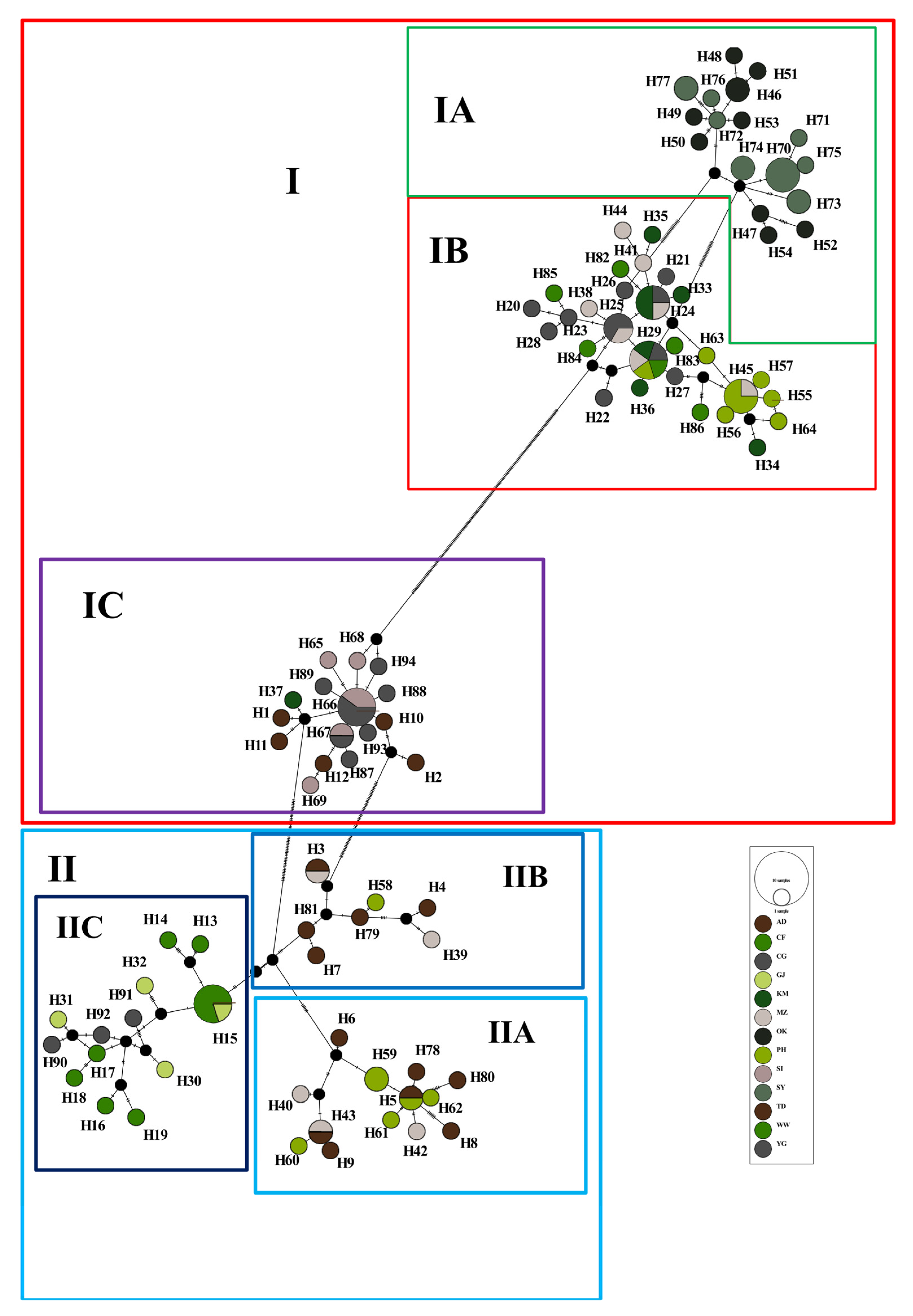Diversity 15 01021 g004