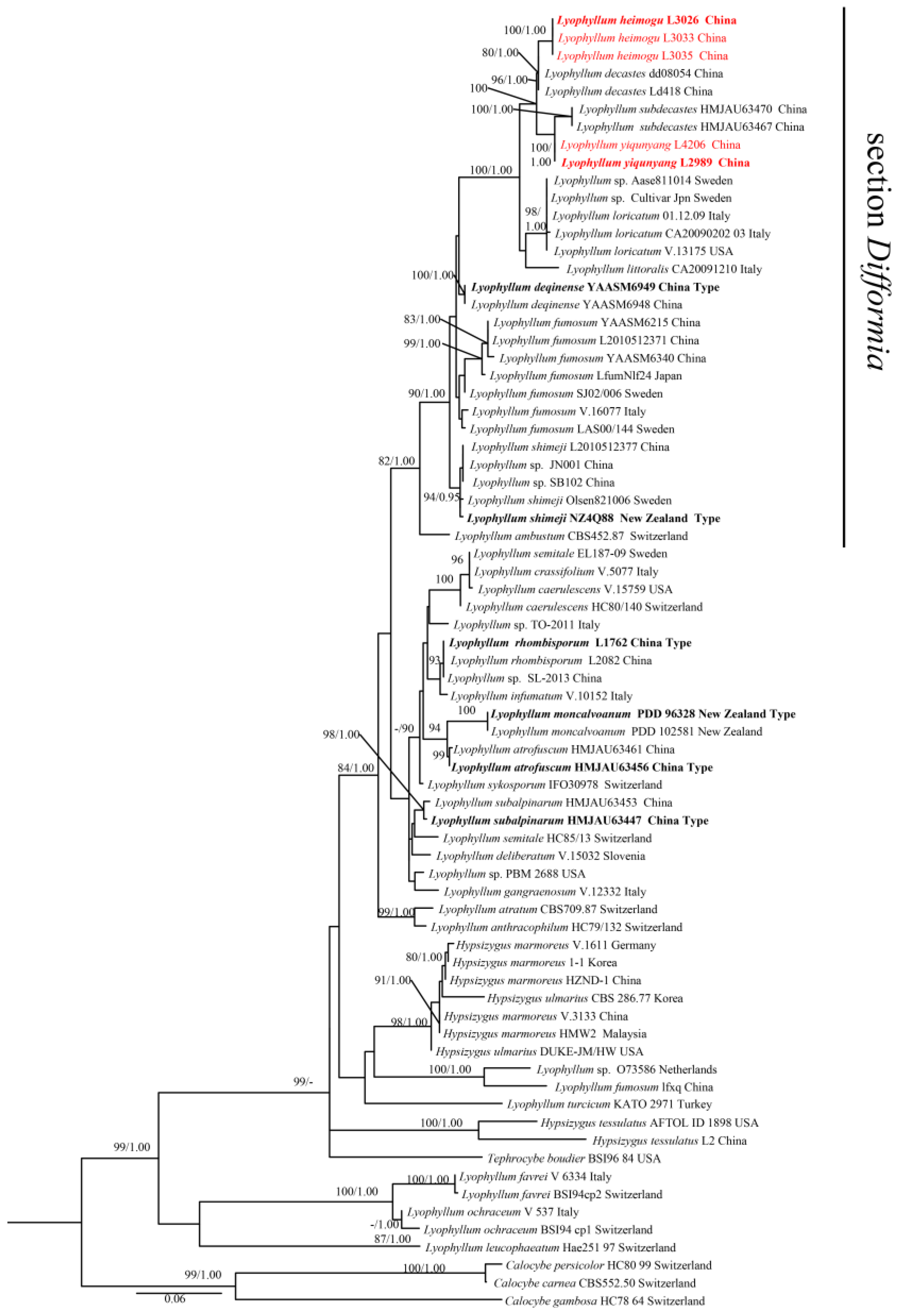 Diversity 15 01027 g001