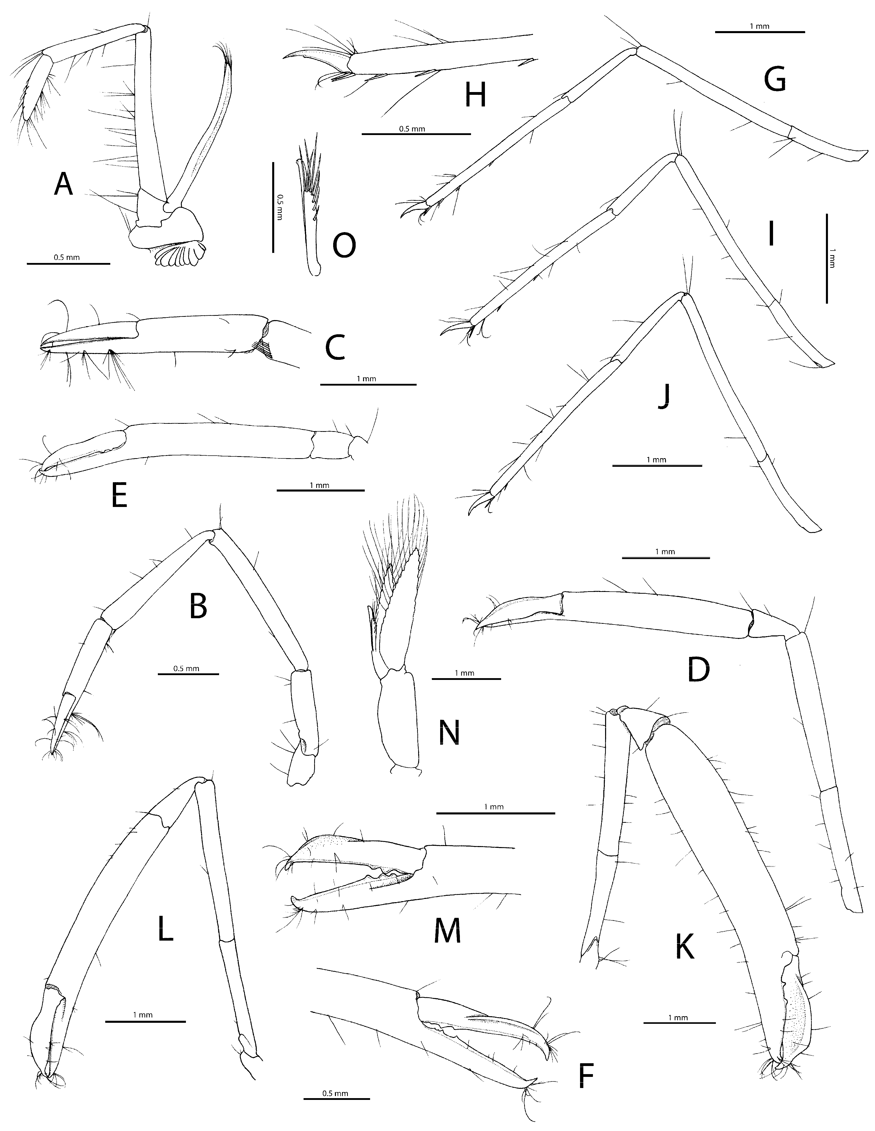 Diversity 15 01028 g005