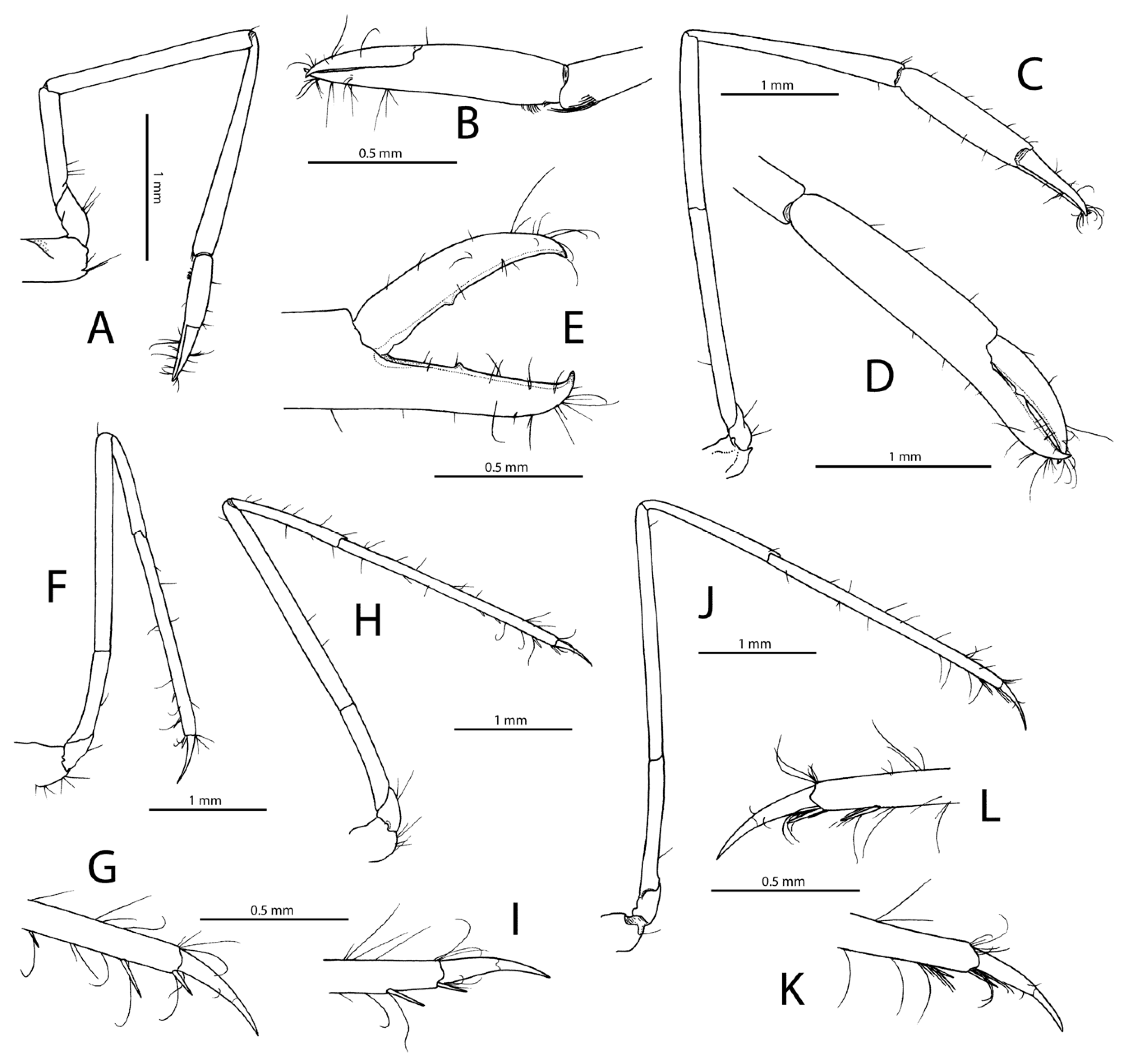 Diversity 15 01028 g008