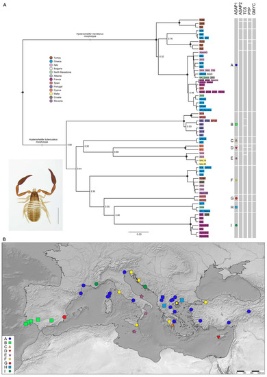 Diversity 15 01040 g004