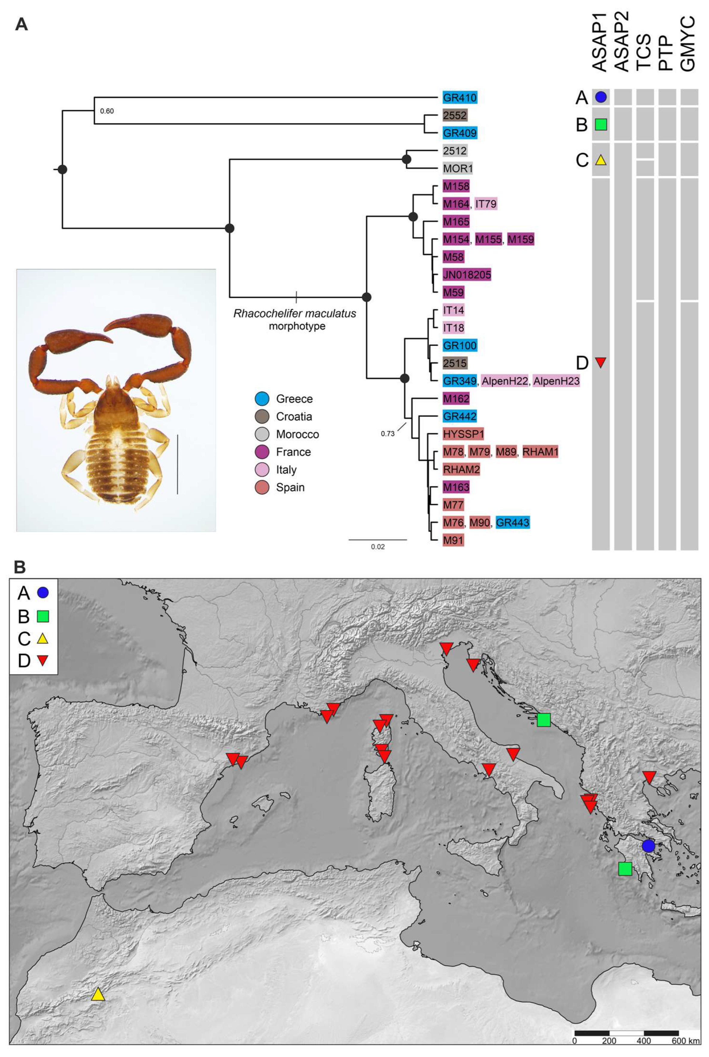 Diversity 15 01040 g005