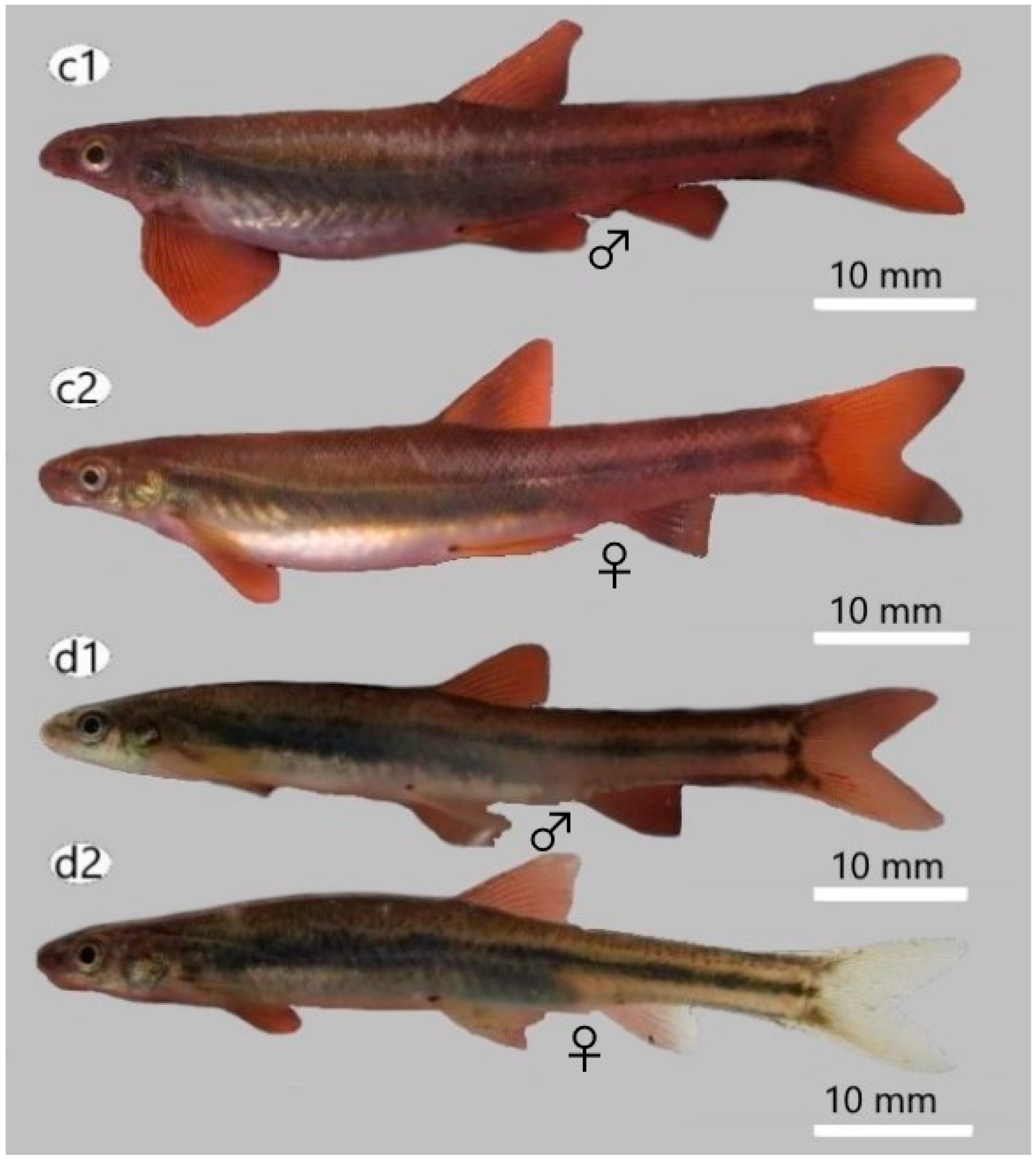 Diversity 15 01044 g006b