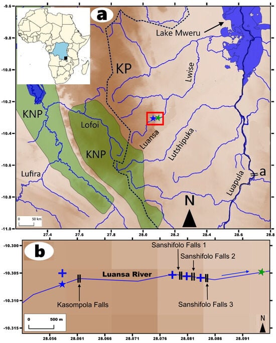 Diversity 15 01044 g017