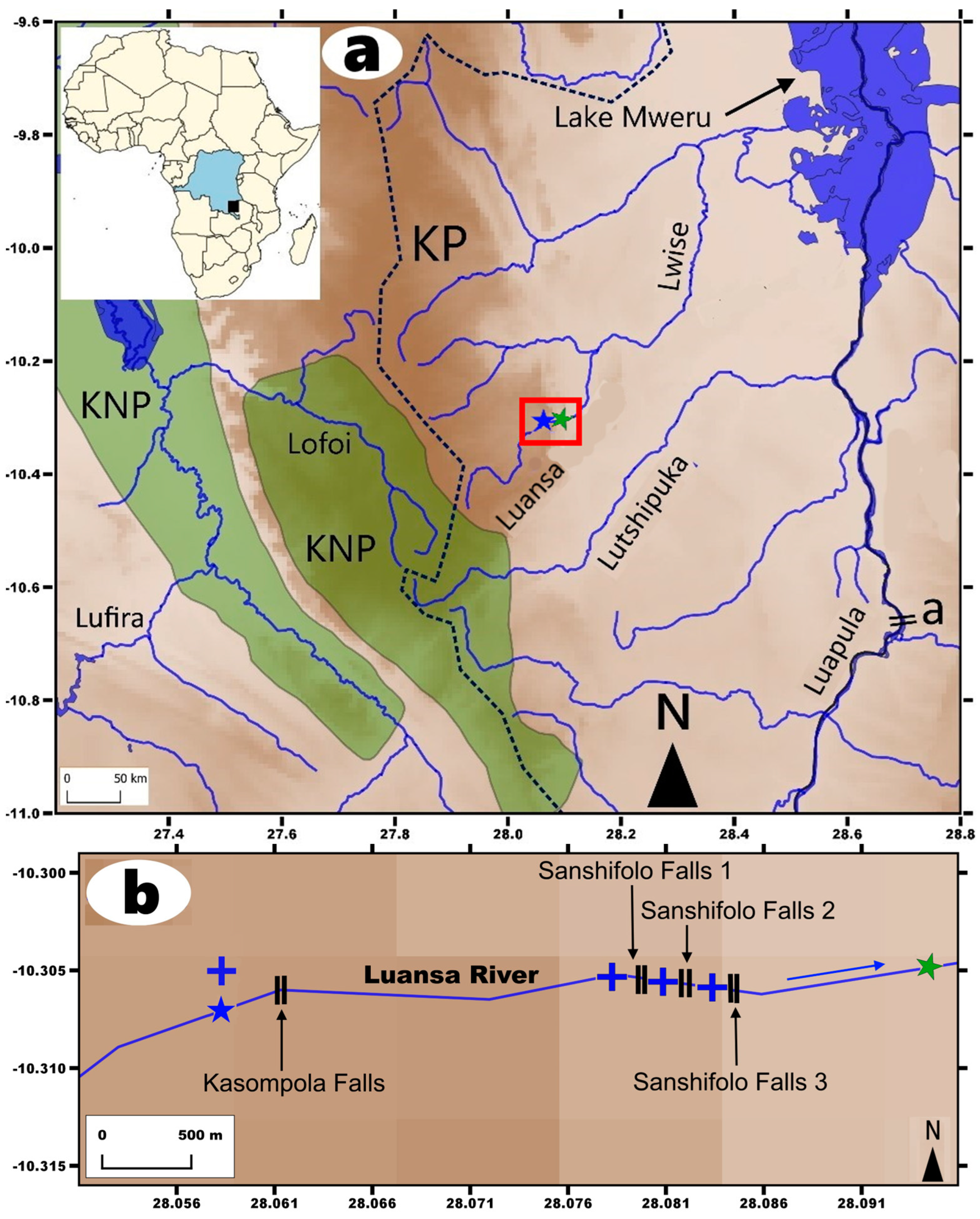 Diversity 15 01044 g017
