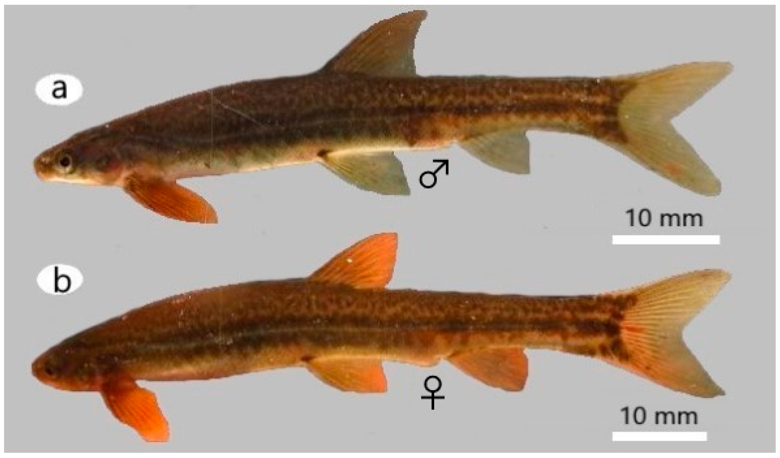 Diversity 15 01044 g019