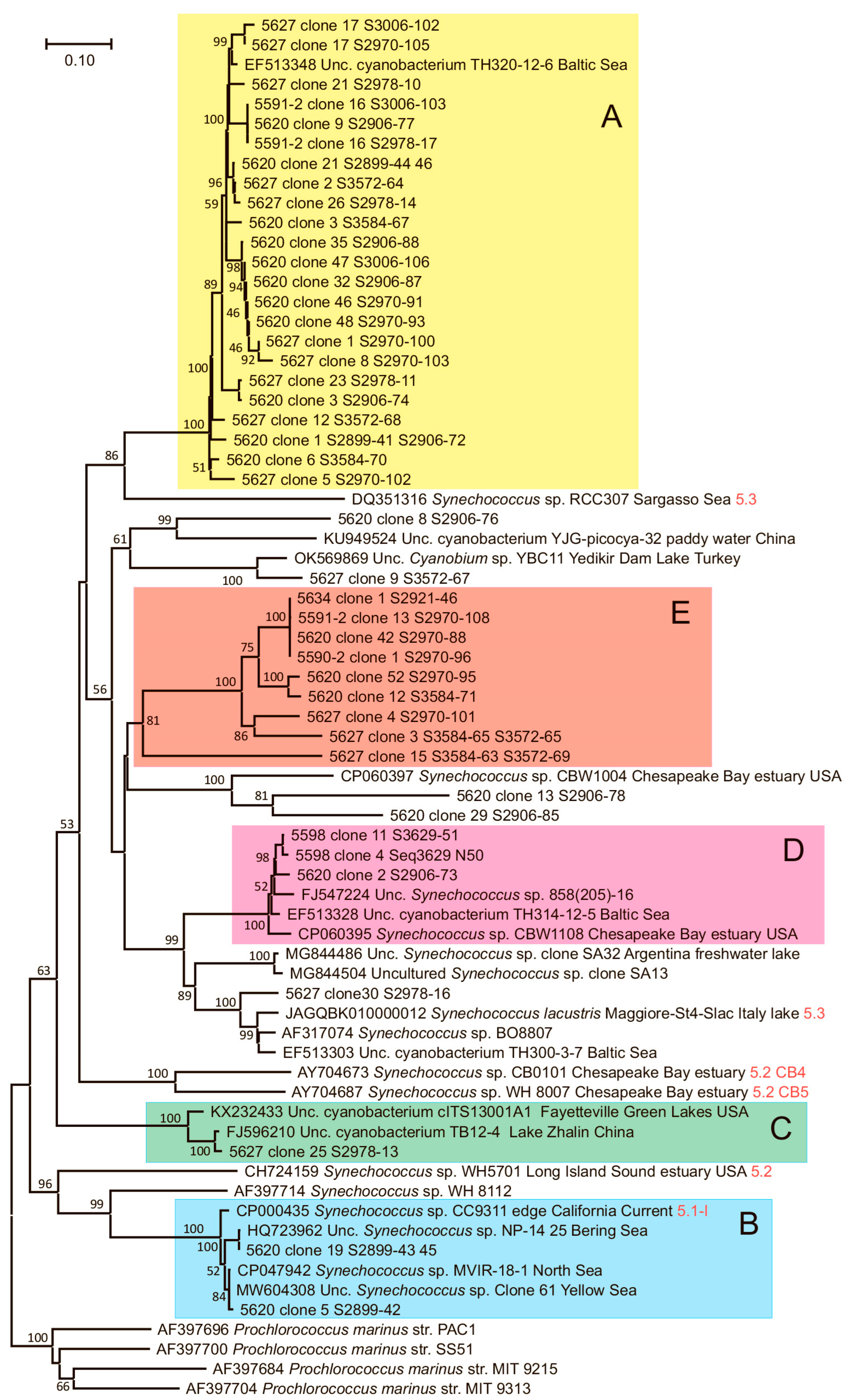 Diversity 15 01049 g003 Diversity 15 01049 g003