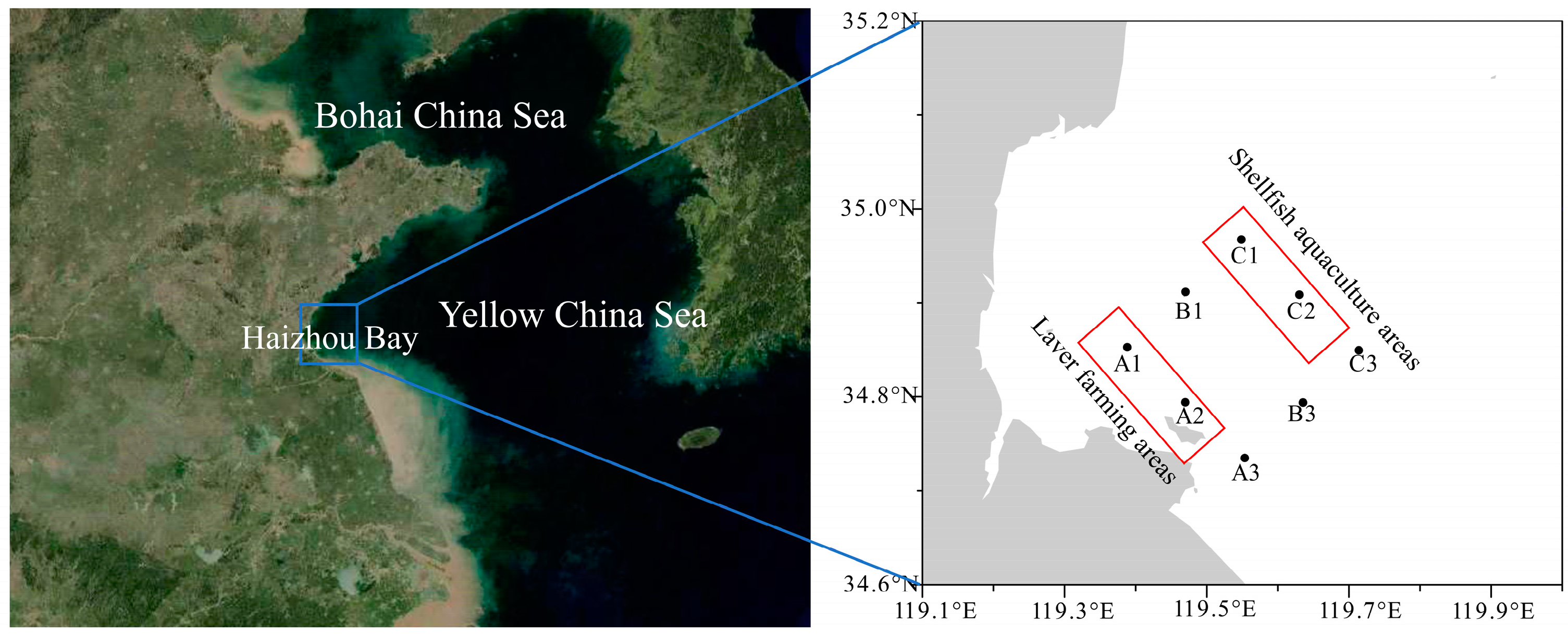 Diversity 15 01051 g001