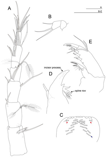 Diversity 15 01052 g003