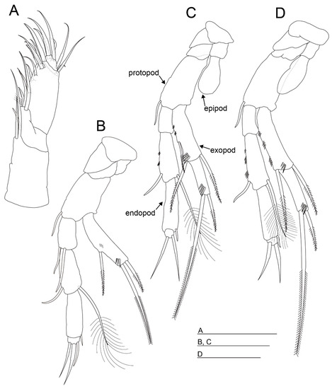 Diversity 15 01052 g004