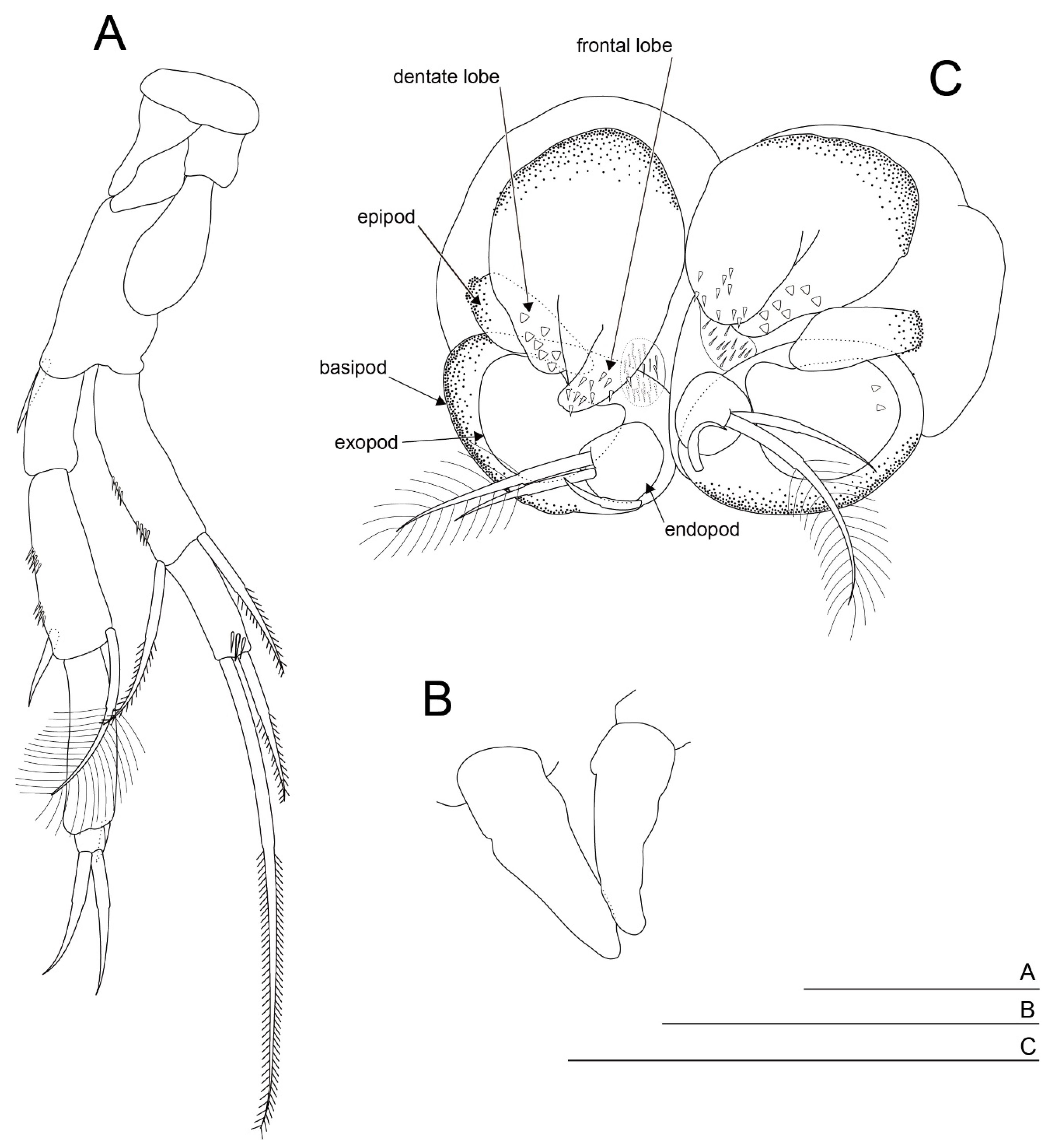 Diversity 15 01052 g006