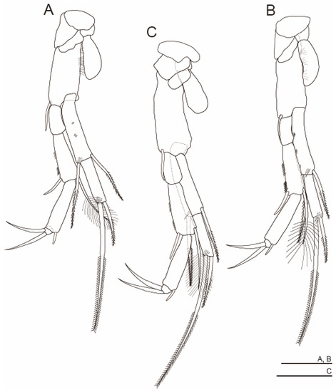 Diversity 15 01052 g010