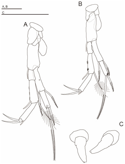 Diversity 15 01052 g011