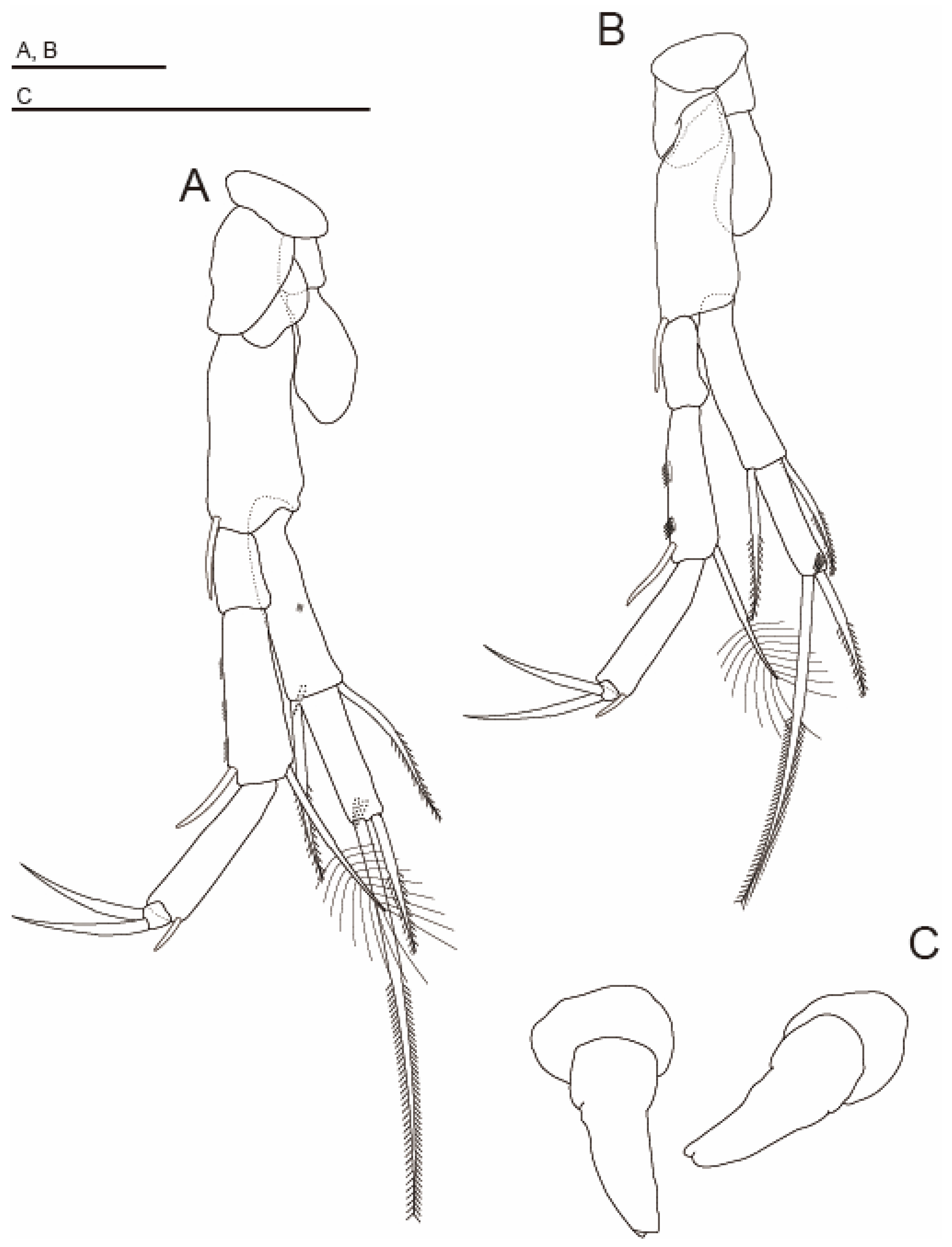 Diversity 15 01052 g011