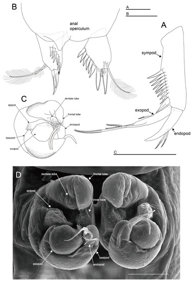 Diversity 15 01052 g012