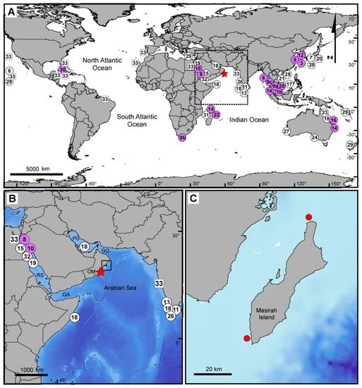 Diversity 15 01060 g001