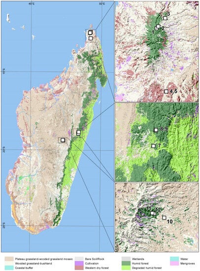 Diversity 15 01066 g001