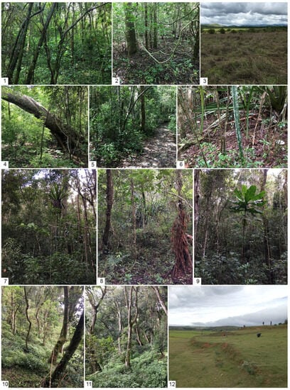 Diversity 15 01066 g002