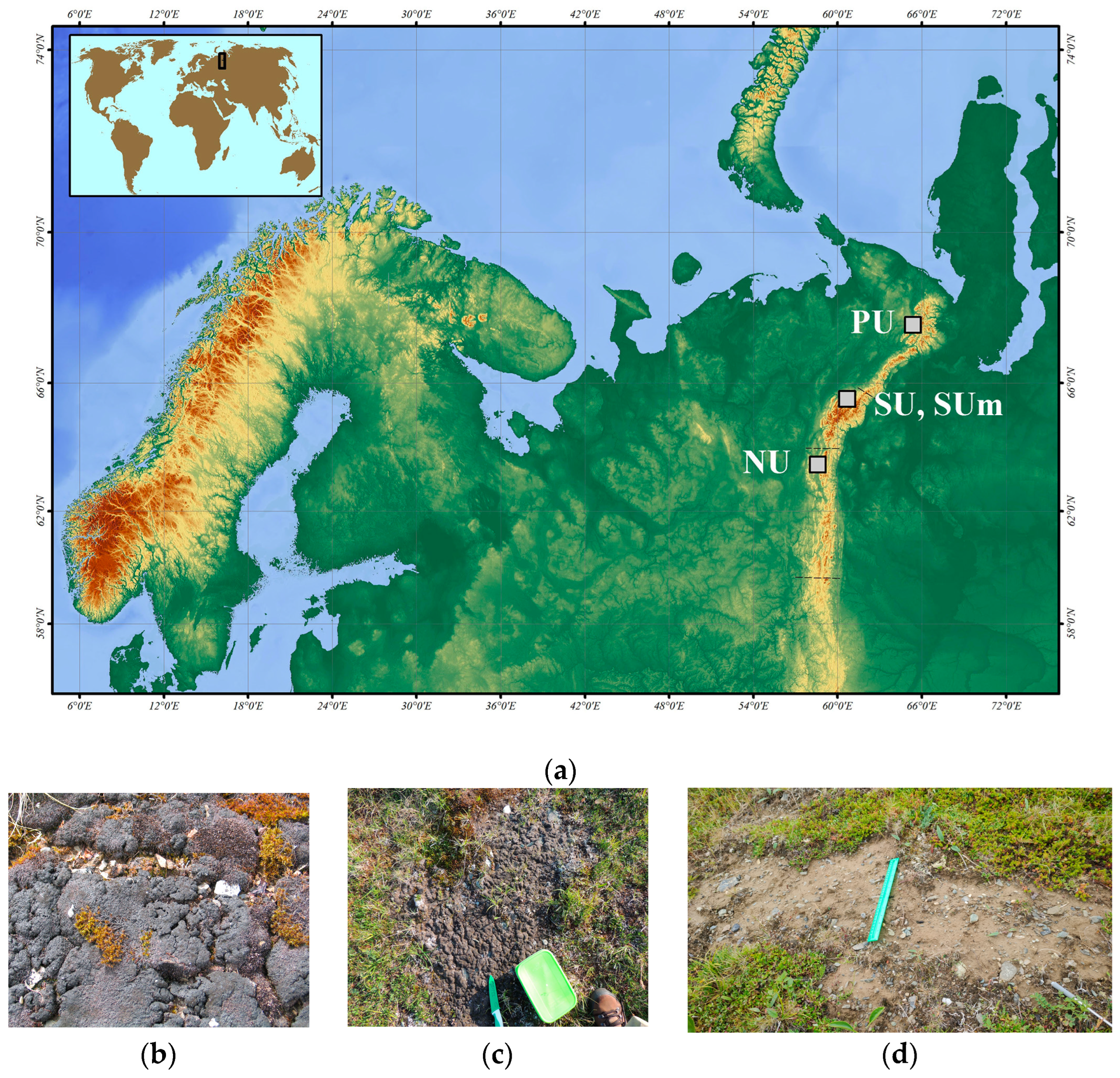 Diversity 15 01080 g001