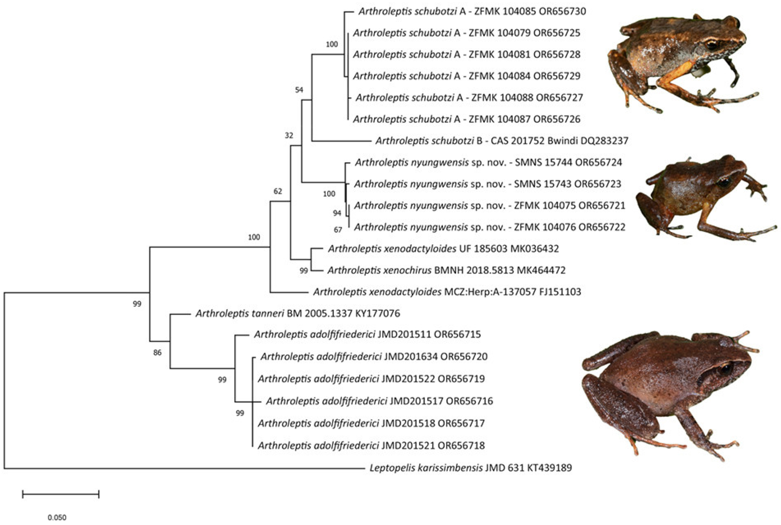 Diversity 15 01104 g004