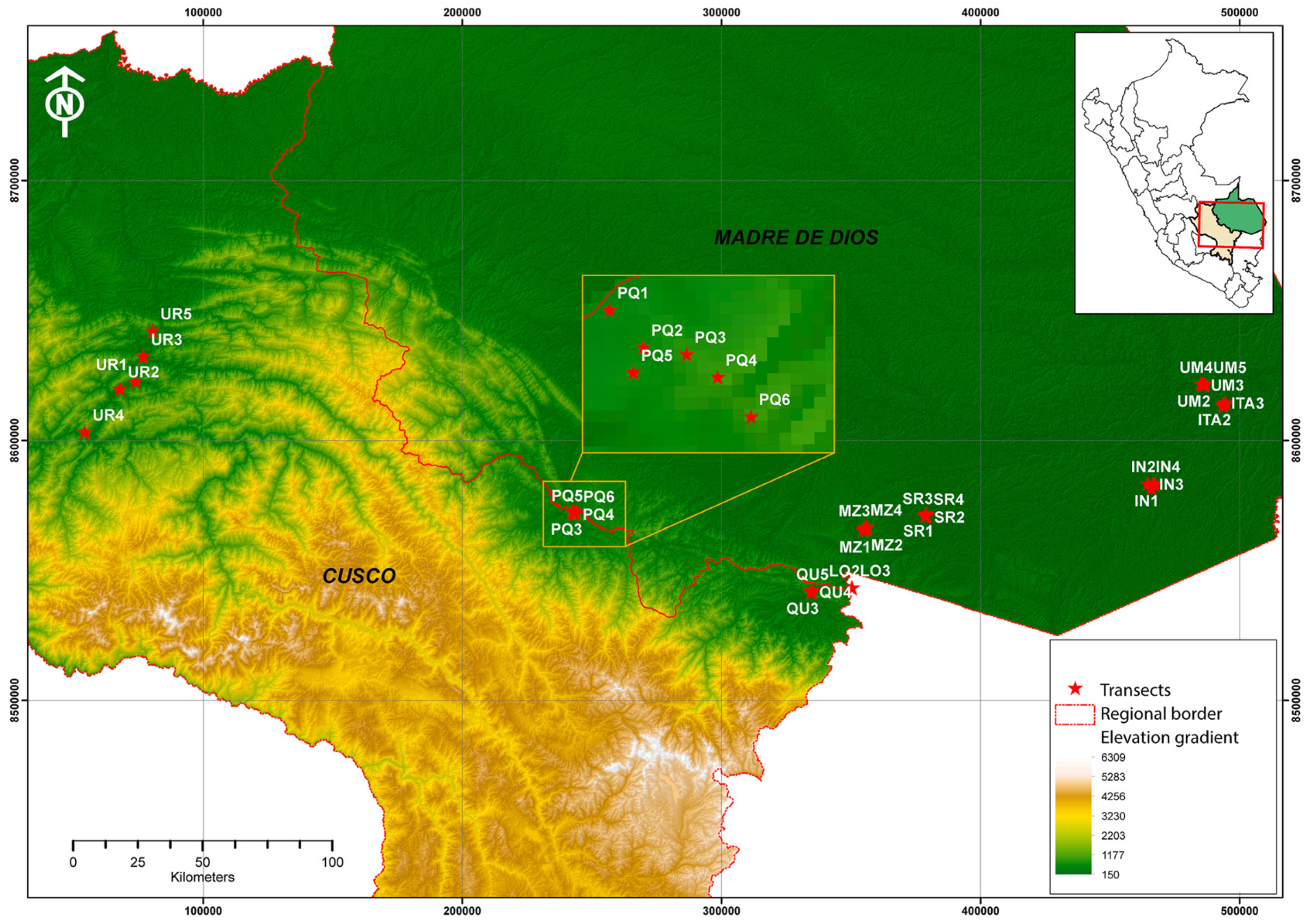 Diversity 15 01122 g001