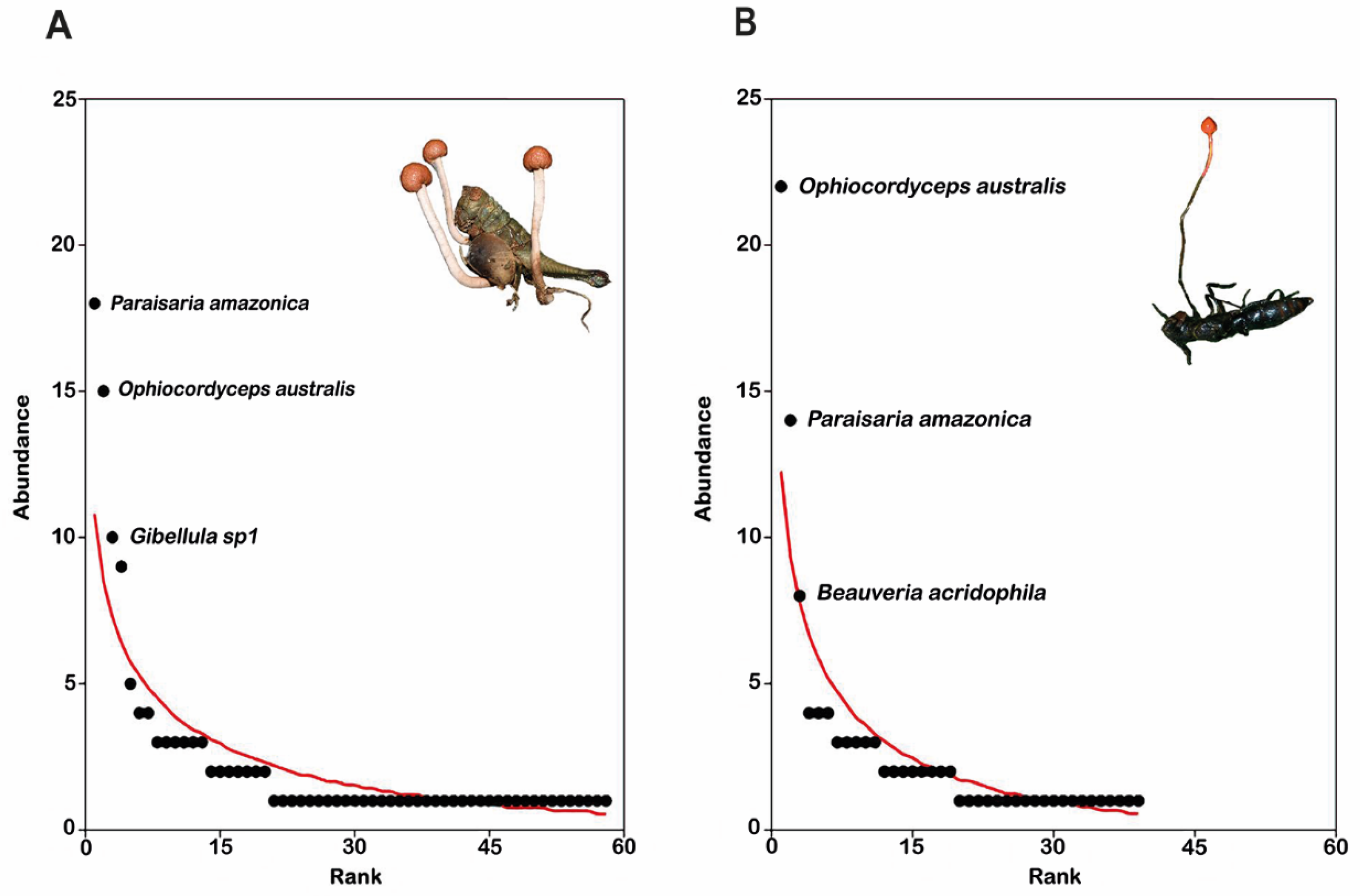Diversity 15 01122 g005