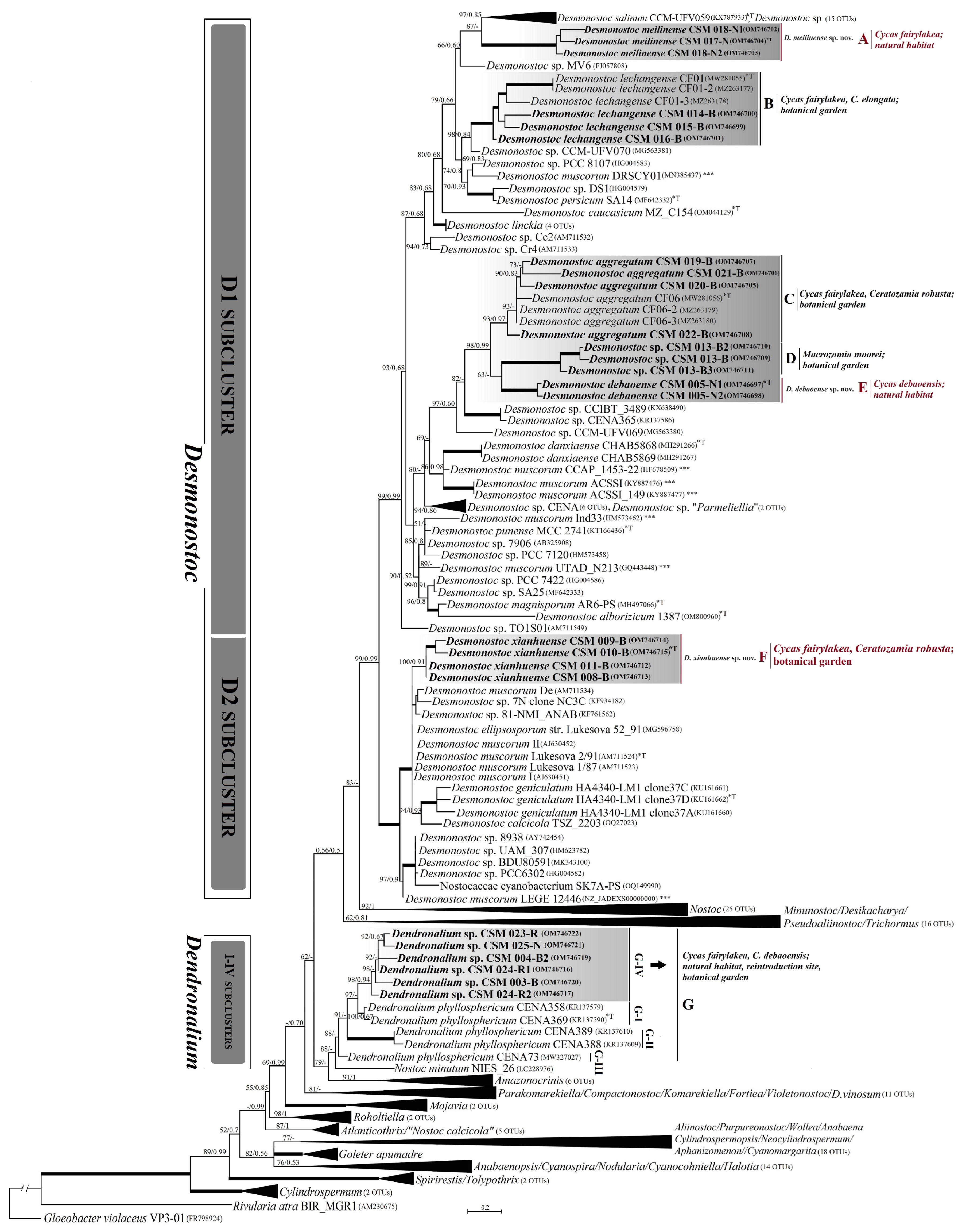 Diversity 15 01132 g005