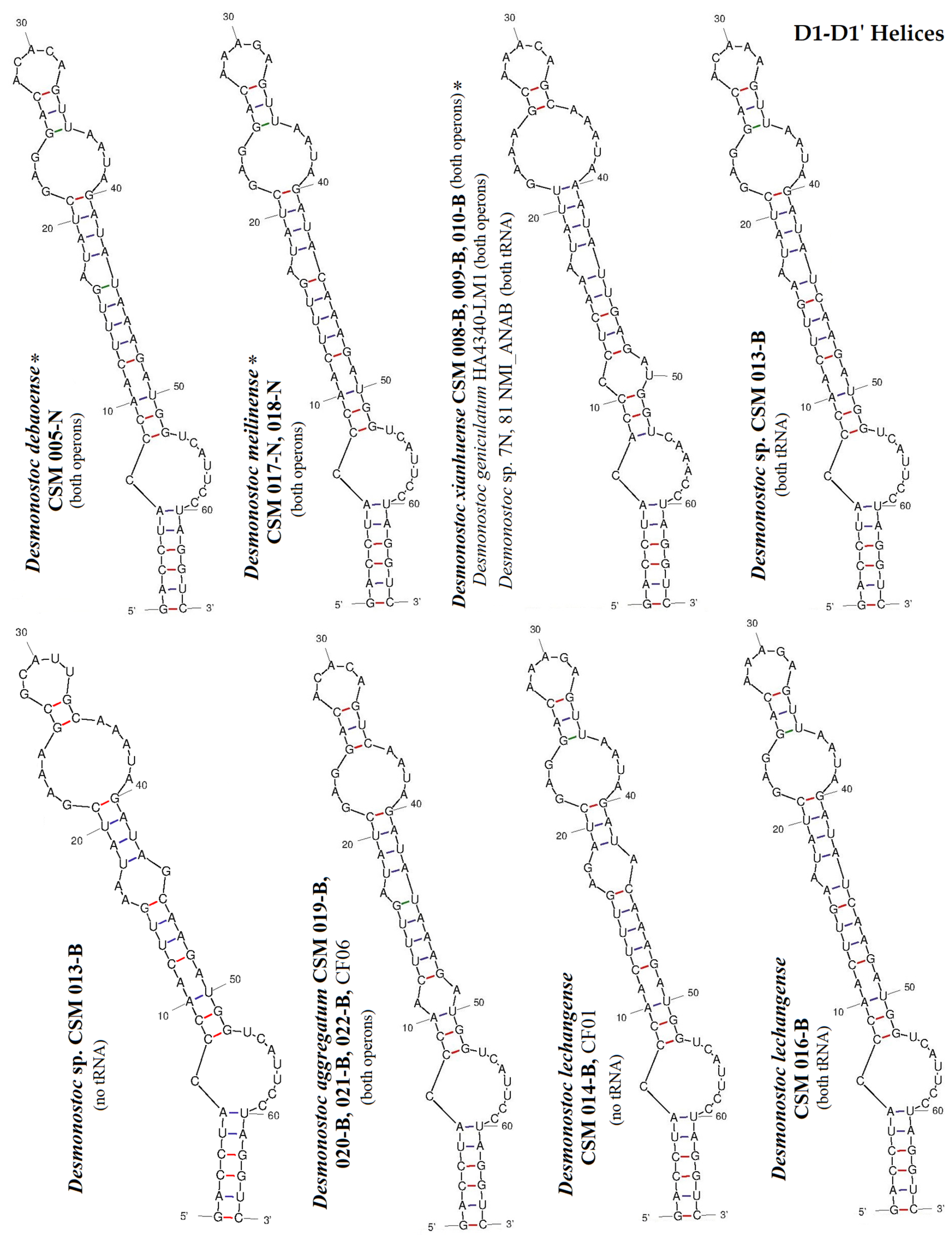 Diversity 15 01132 g006