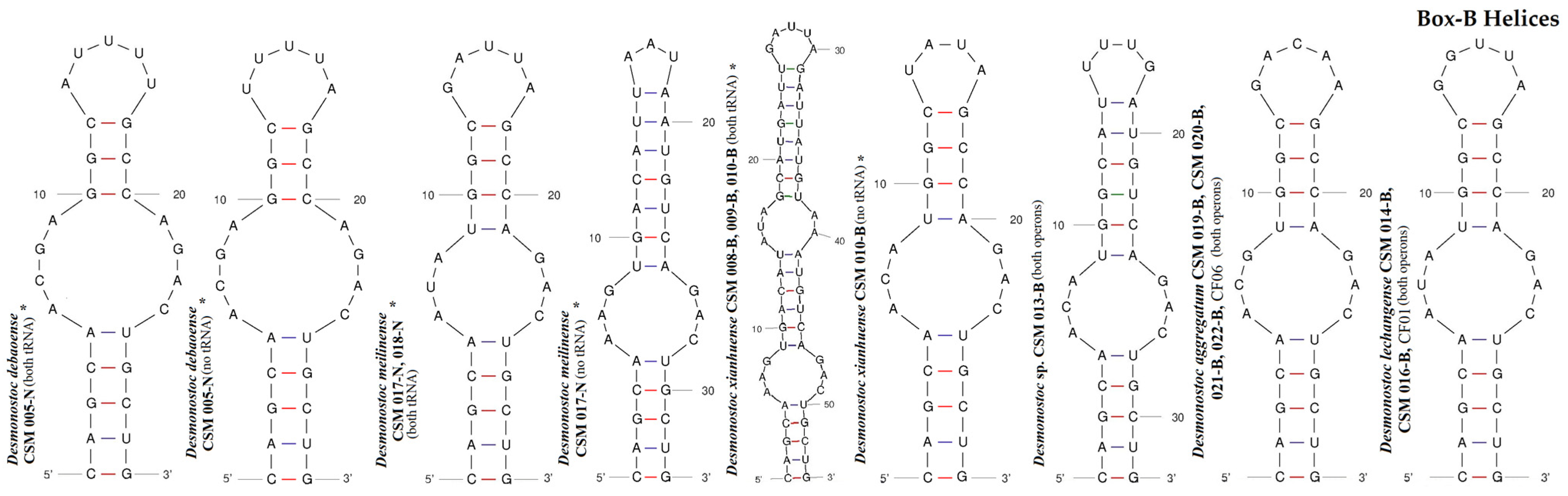 Diversity 15 01132 g007