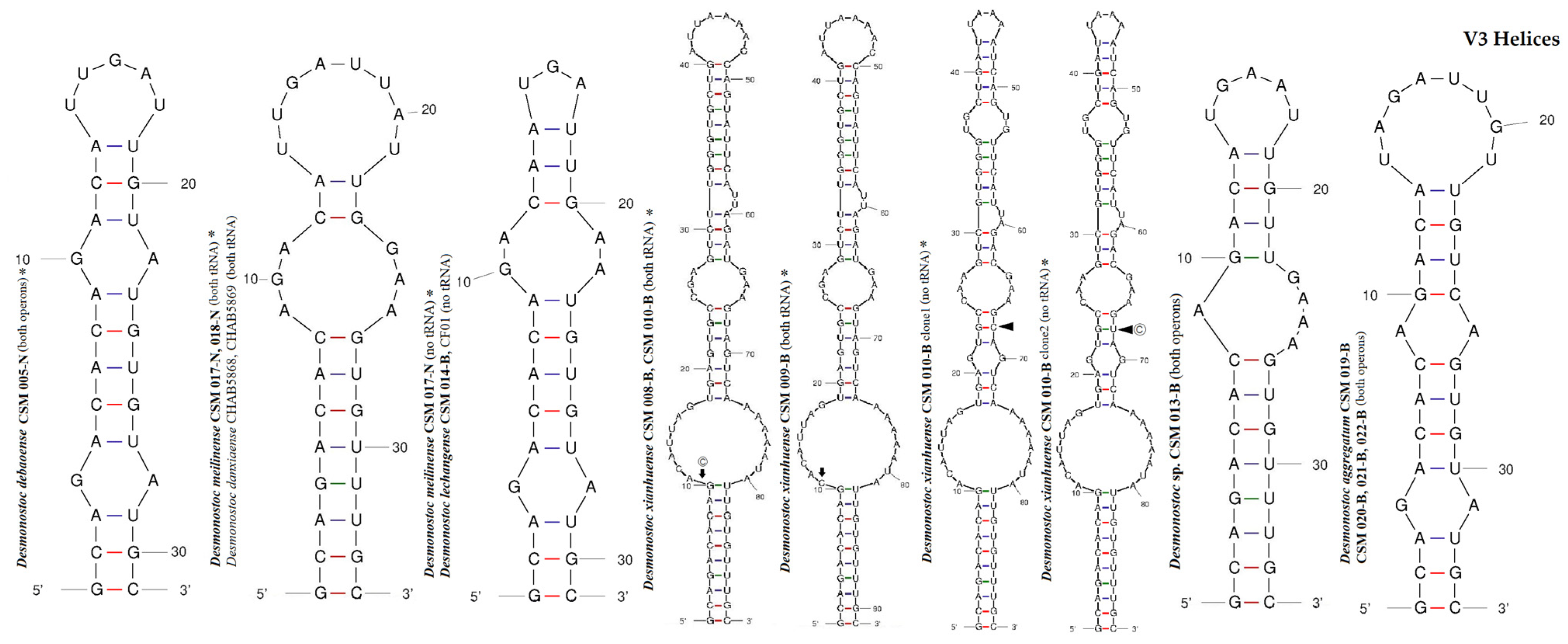 Diversity 15 01132 g009