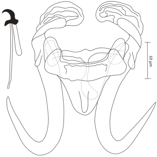 Diversity 15 01152 g003