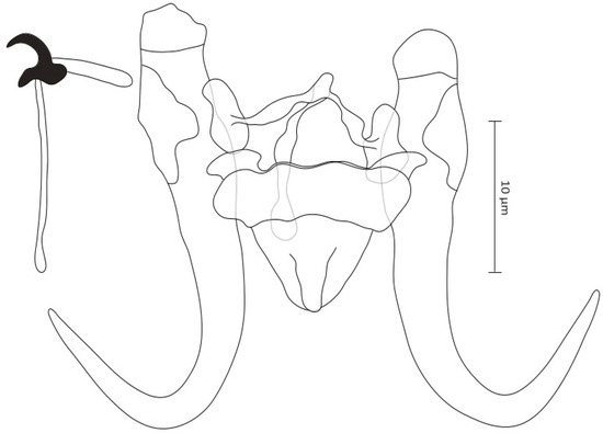 Diversity 15 01152 g005