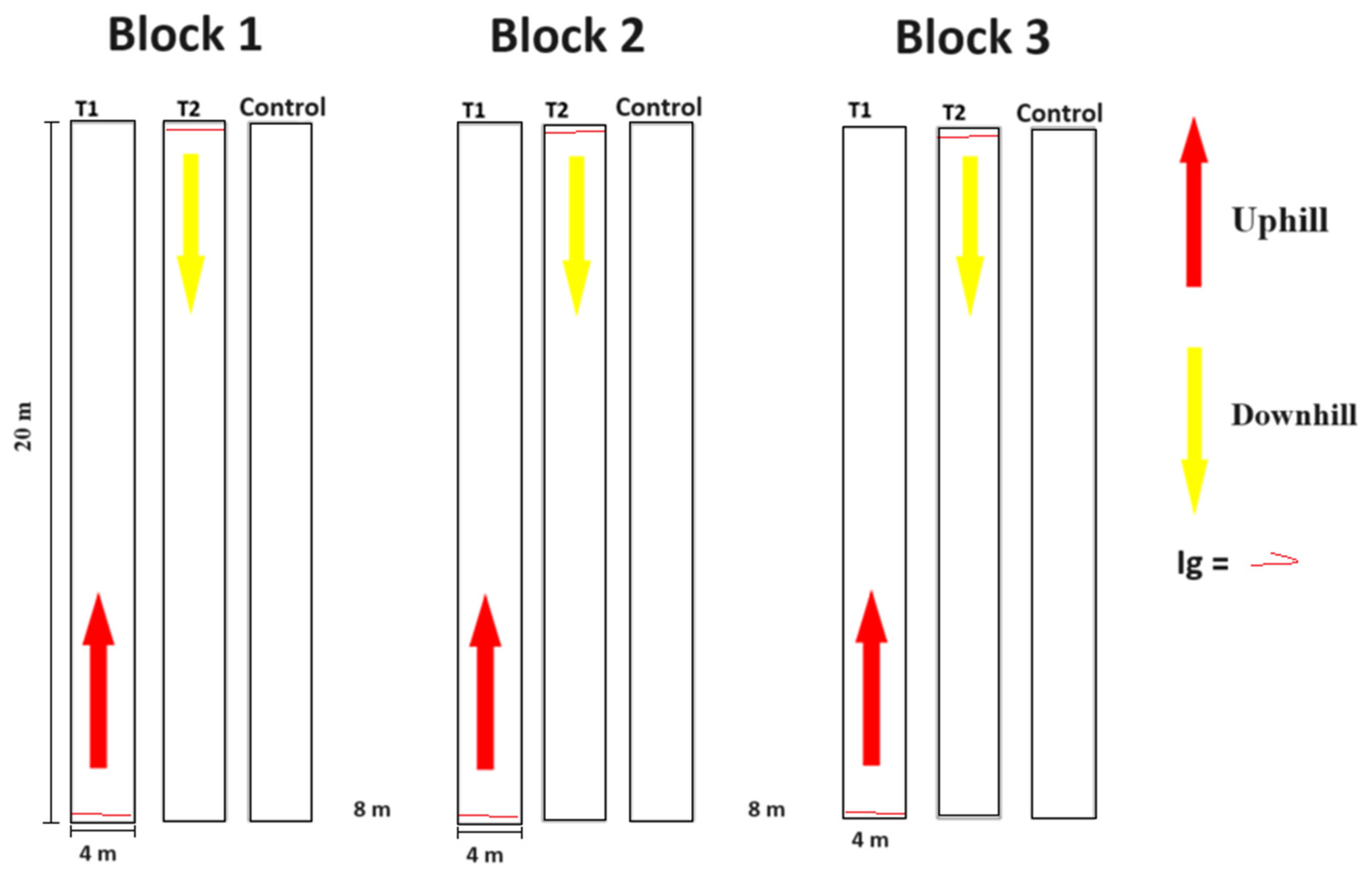 Diversity 15 01176 g002