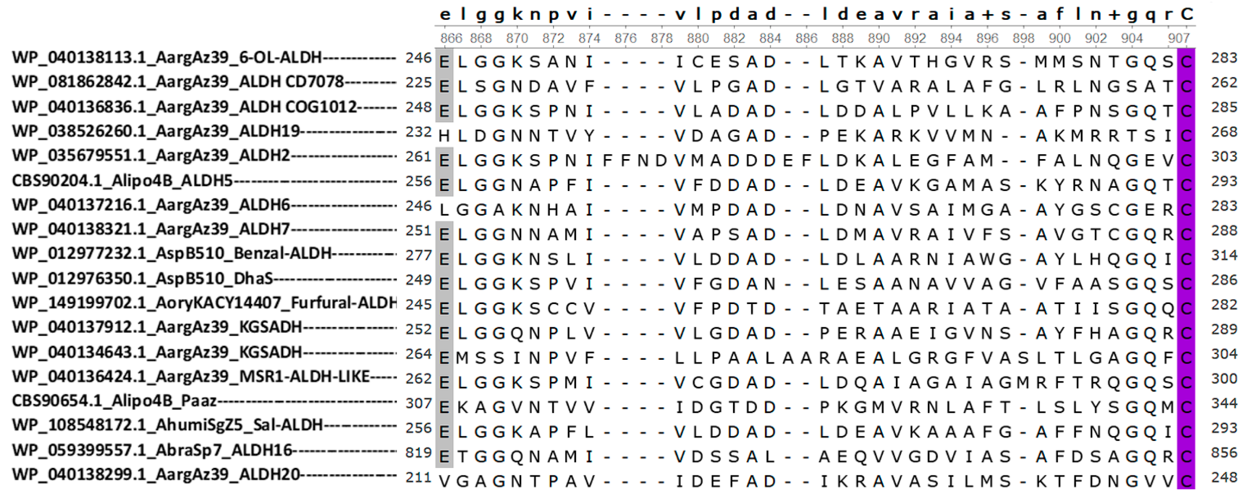 Diversity 15 01178 g006 Diversity 15 01178 g006