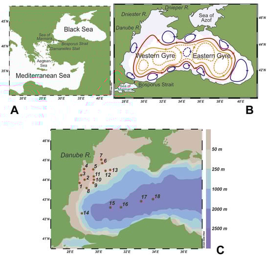 Diversity 15 01194 g001