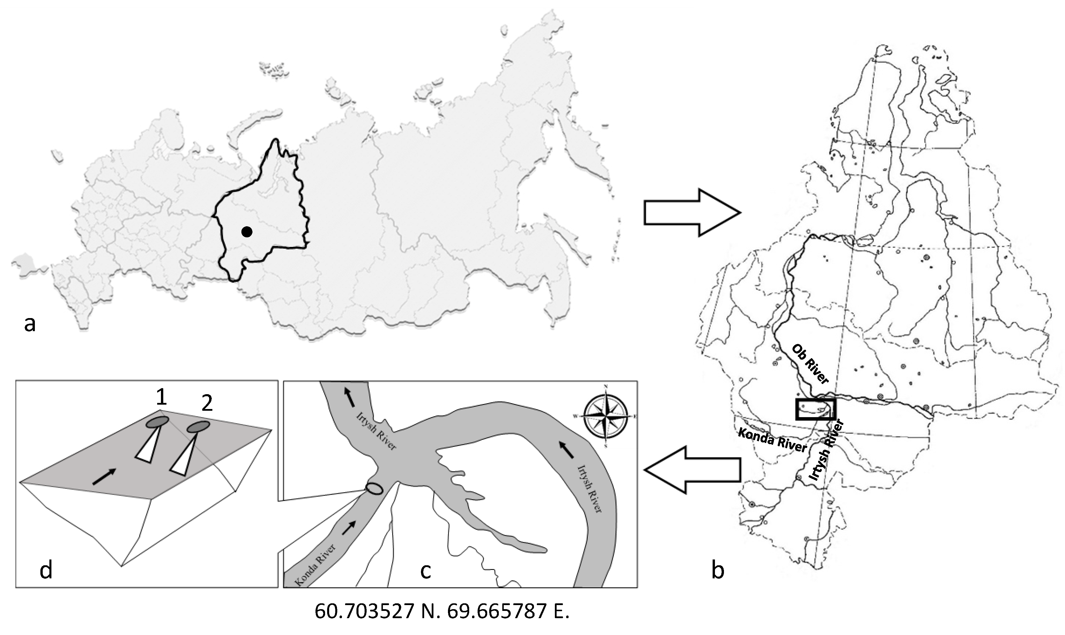 Diversity 15 01211 g001 Diversity 15 01211 g001