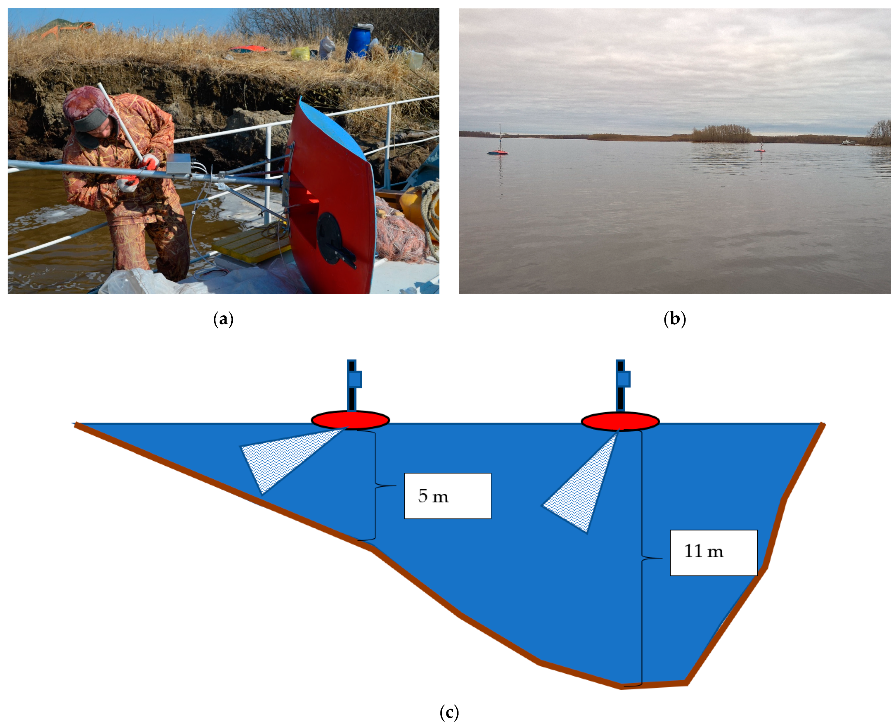 Diversity 15 01211 g002 Diversity 15 01211 g002