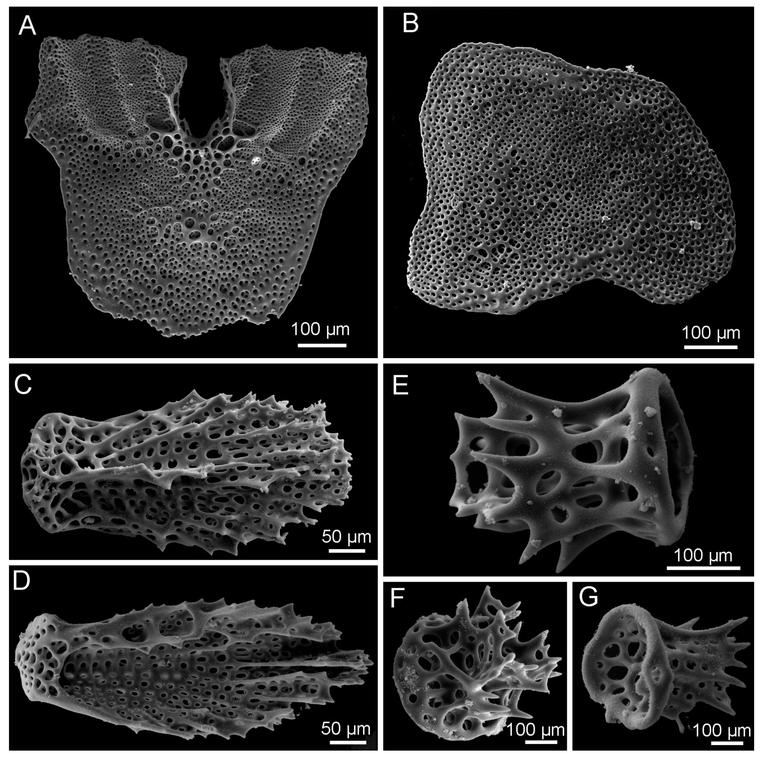 Diversity 15 01212 g007