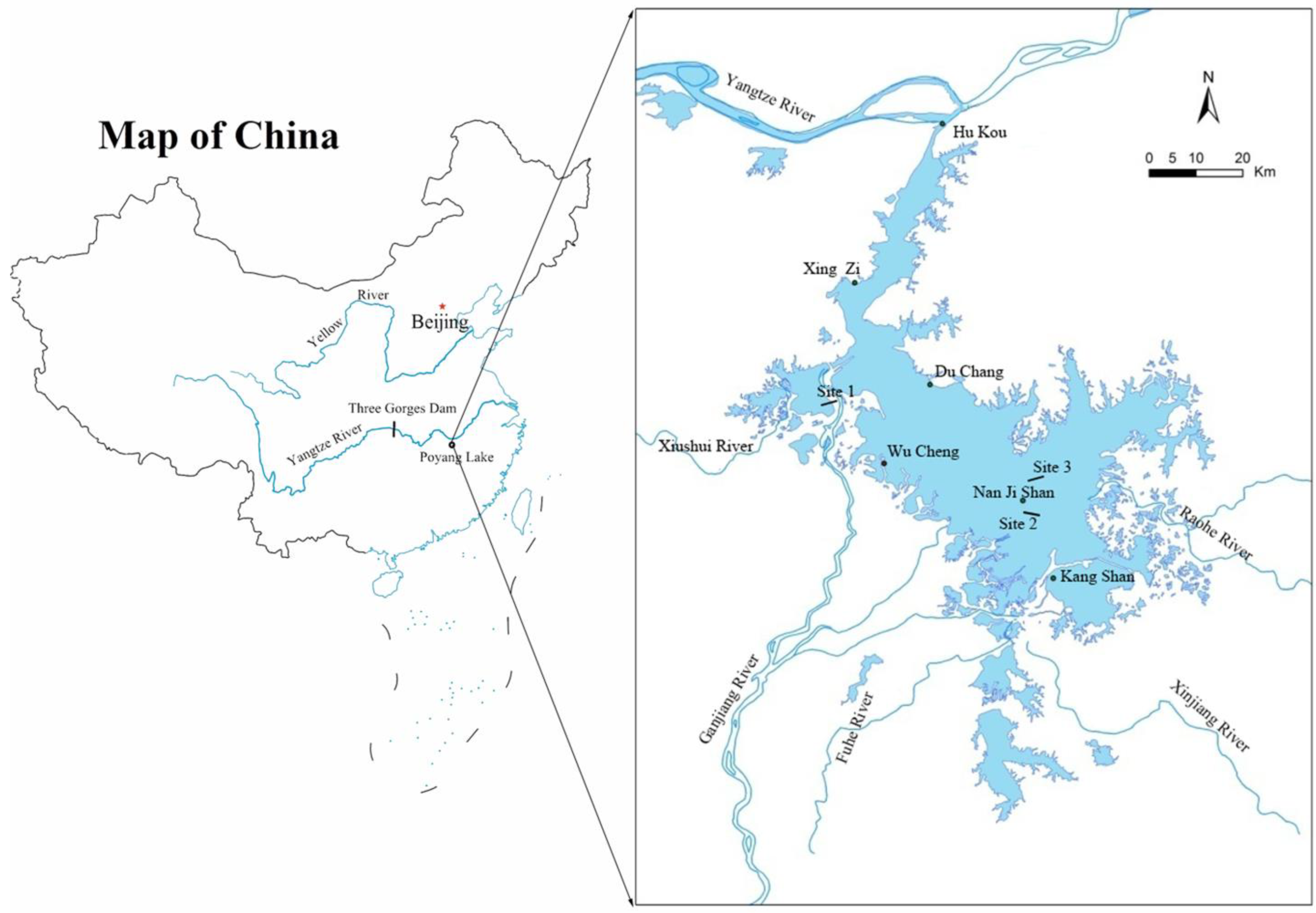 Diversity 16 00003 g001 Diversity 16 00003 g001