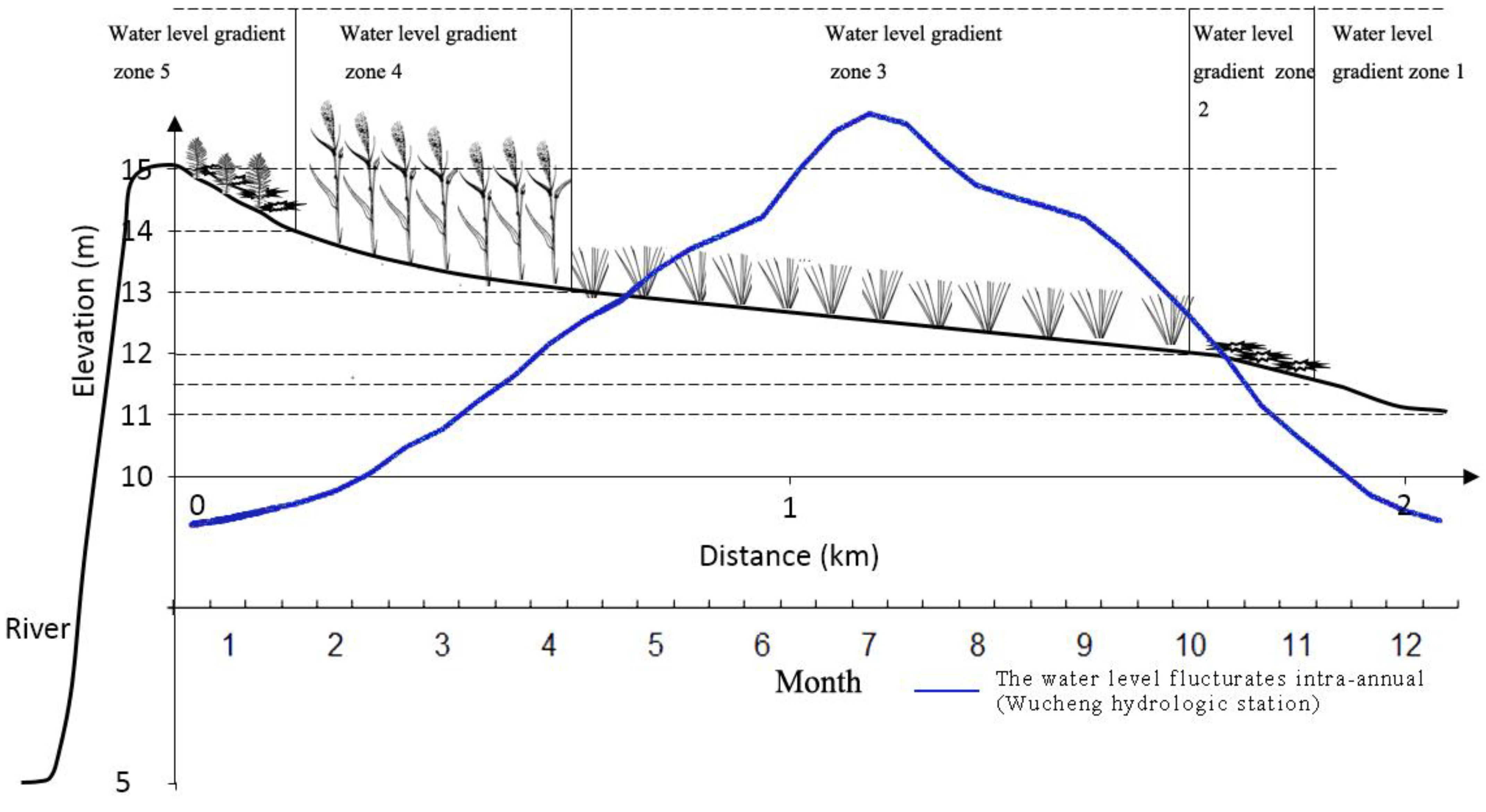 Diversity 16 00003 g002 Diversity 16 00003 g002