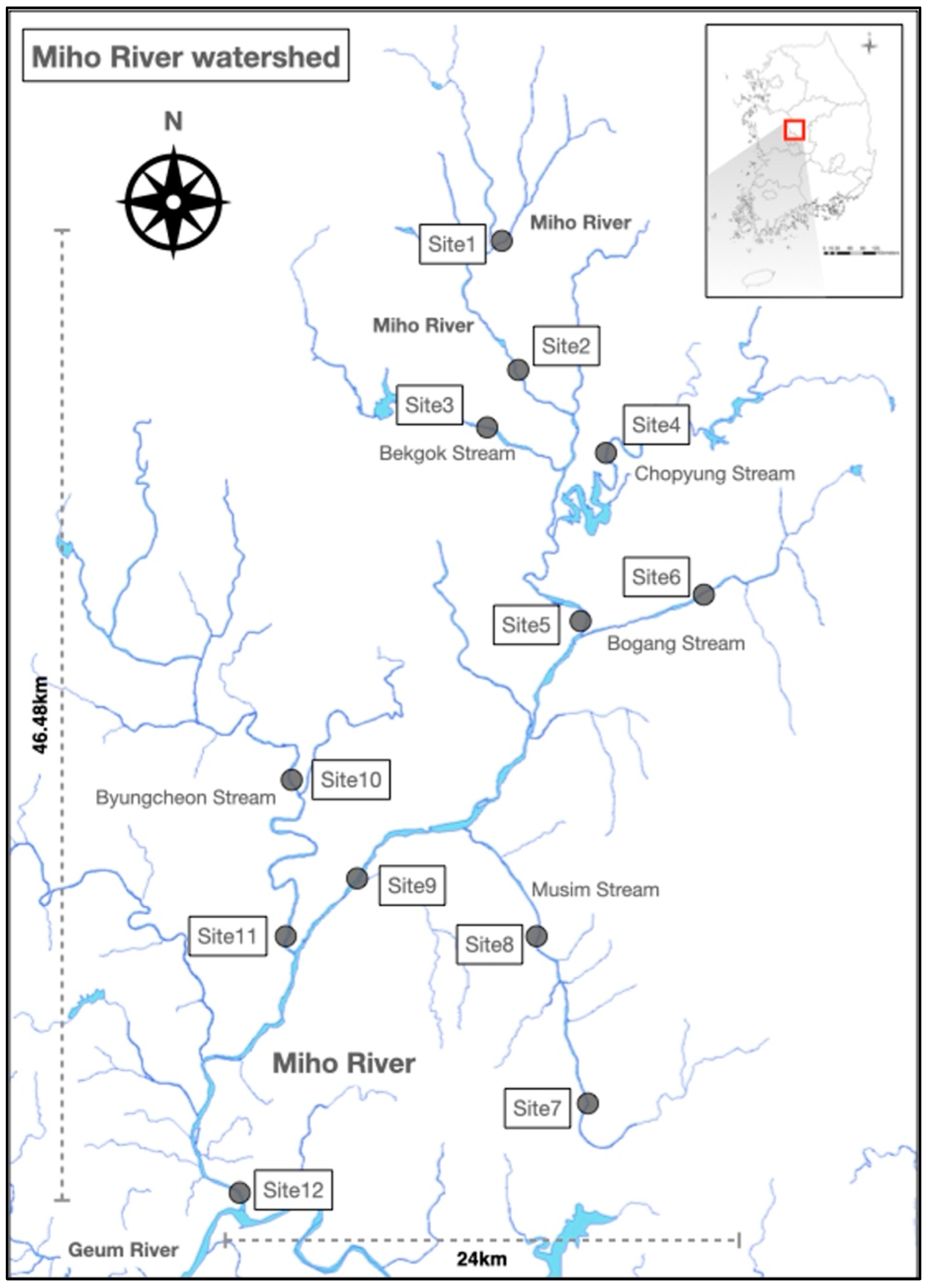 Diversity 16 00008 g001