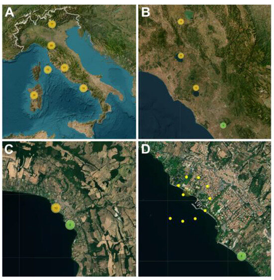 Diversity 16 00017 g005
