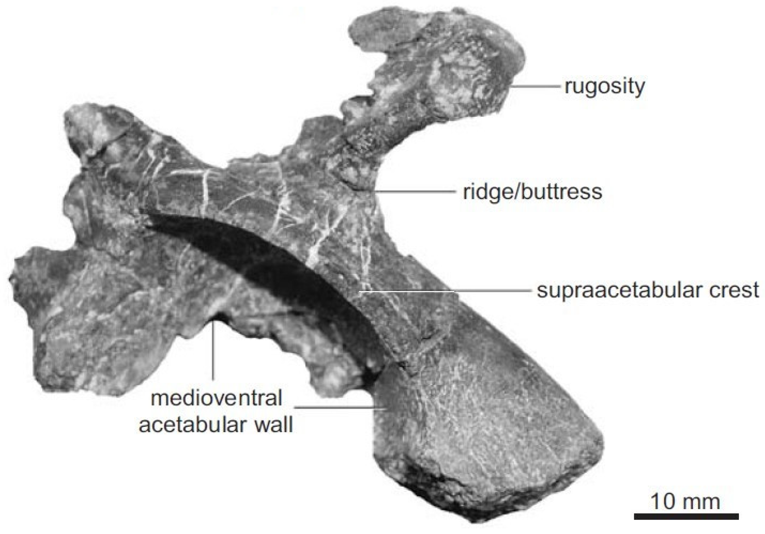 Diversity 16 00020 g002