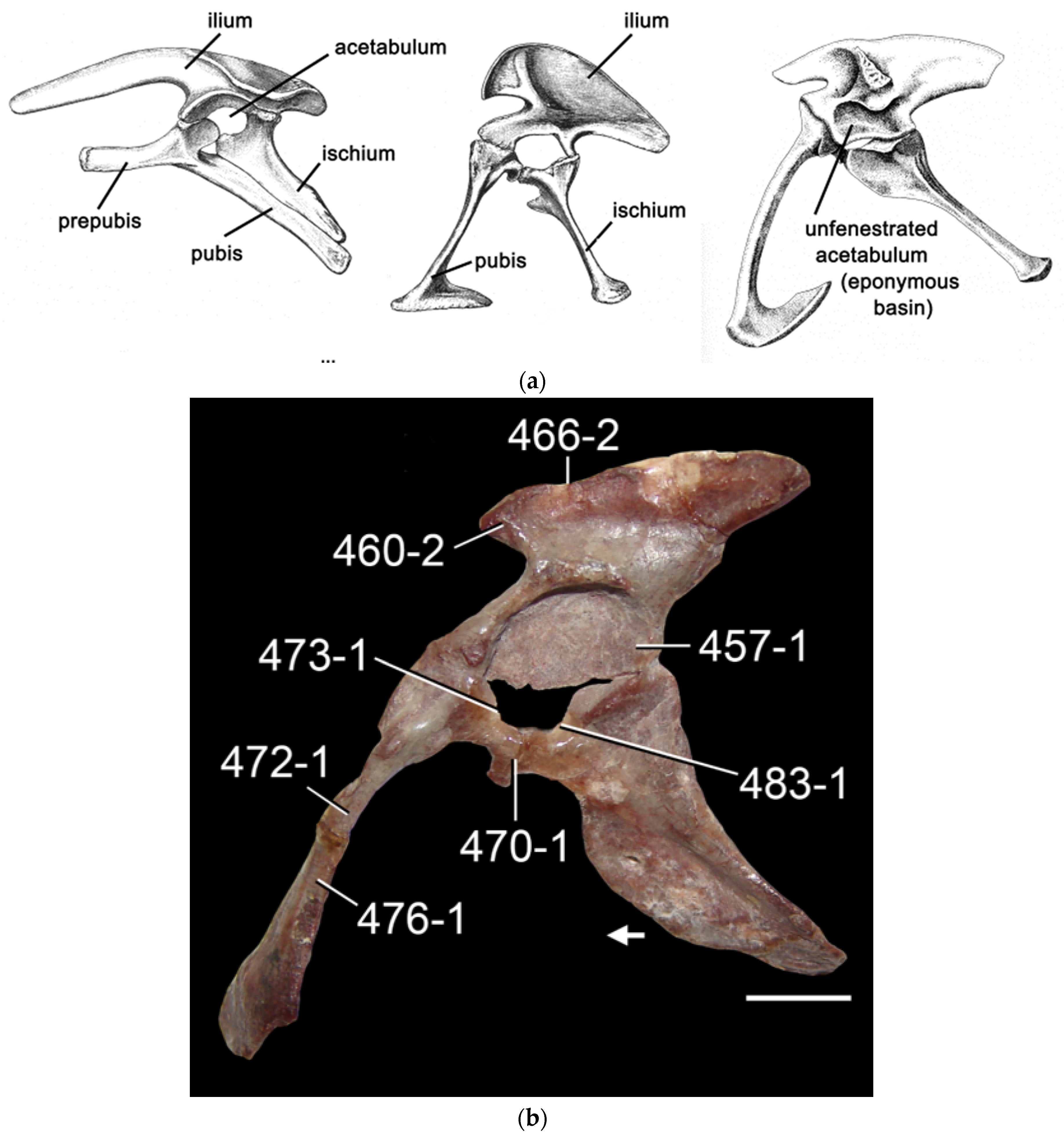 Diversity 16 00020 g003