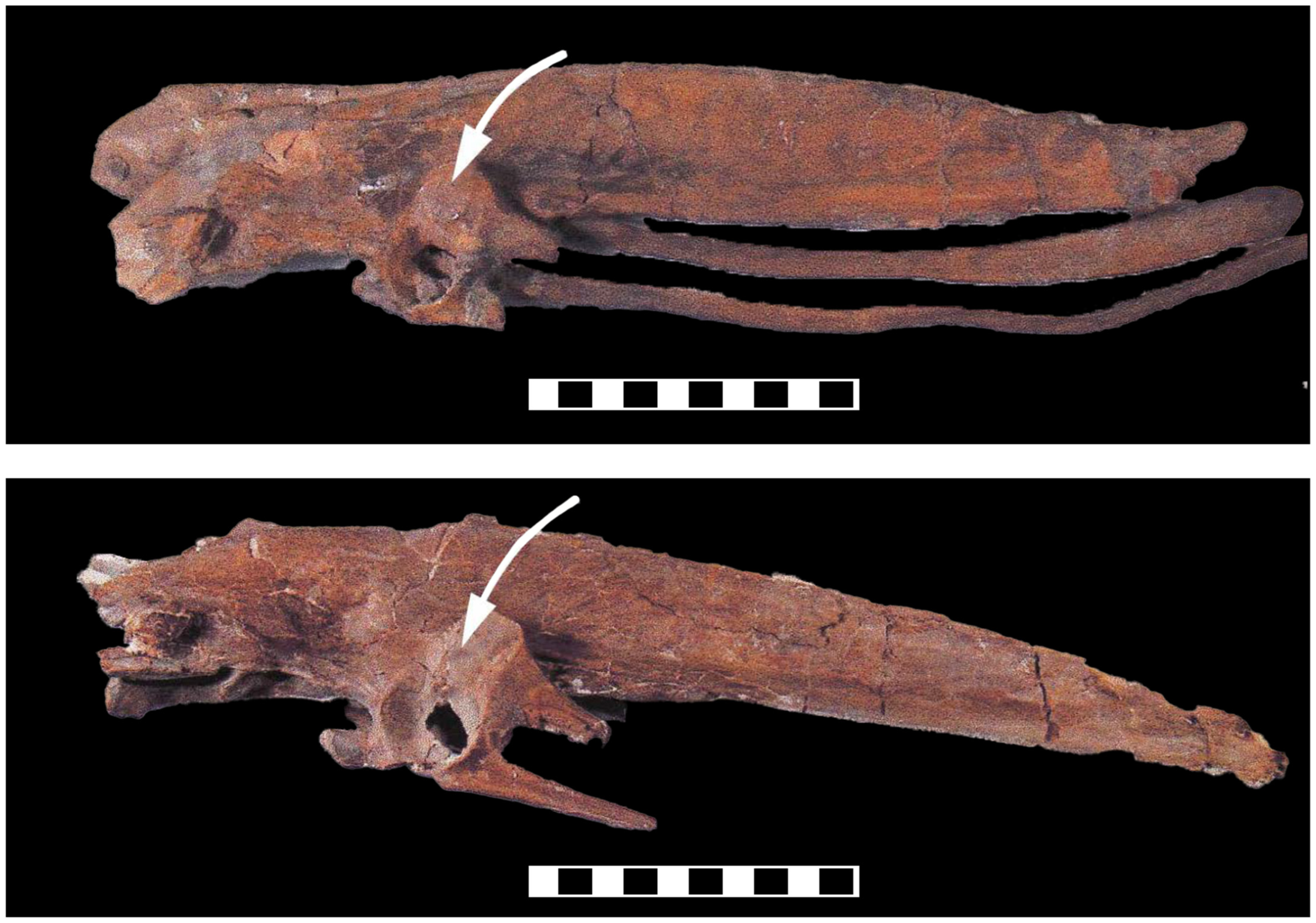 Diversity 16 00020 g007