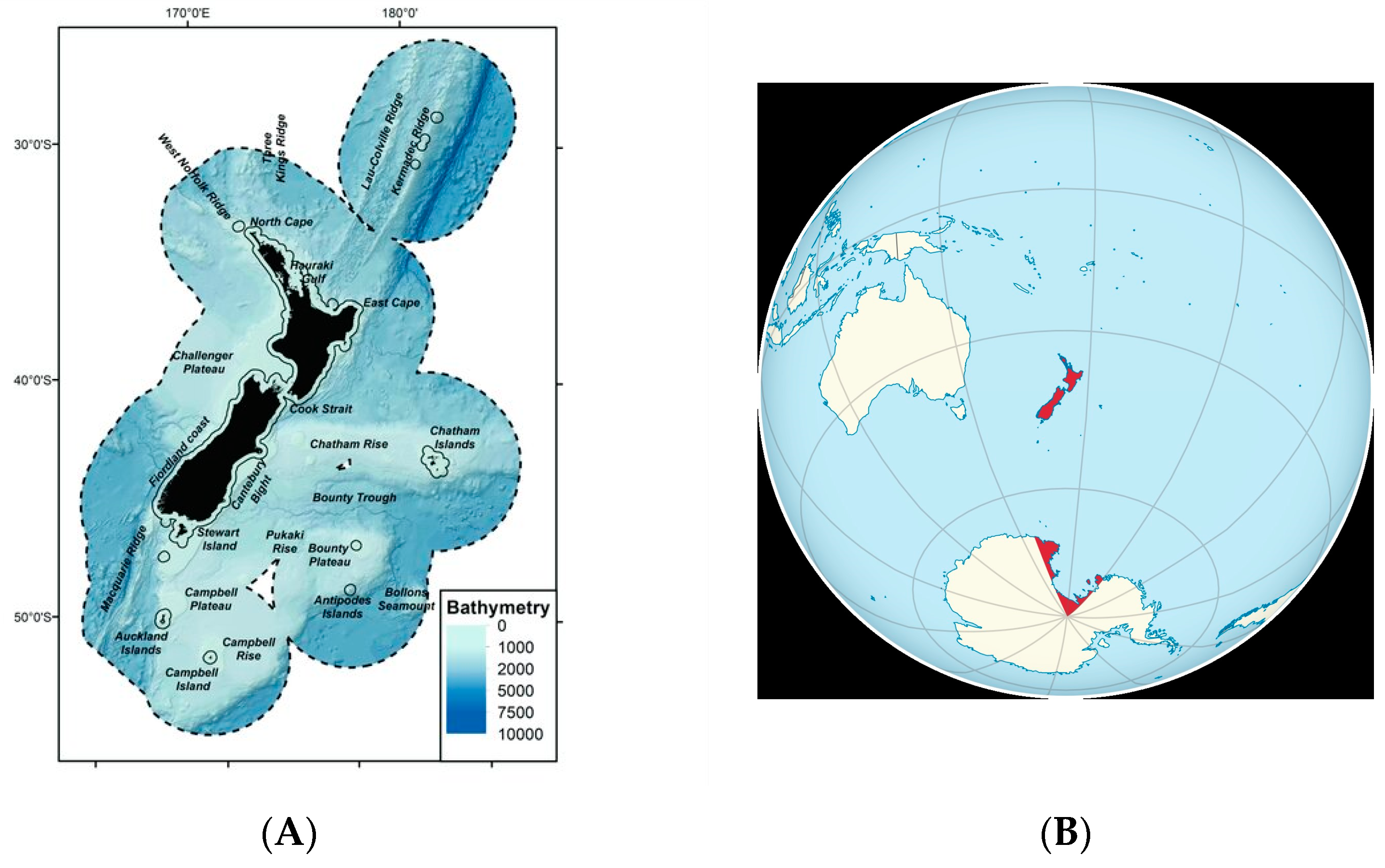 Diversity 16 00045 g002