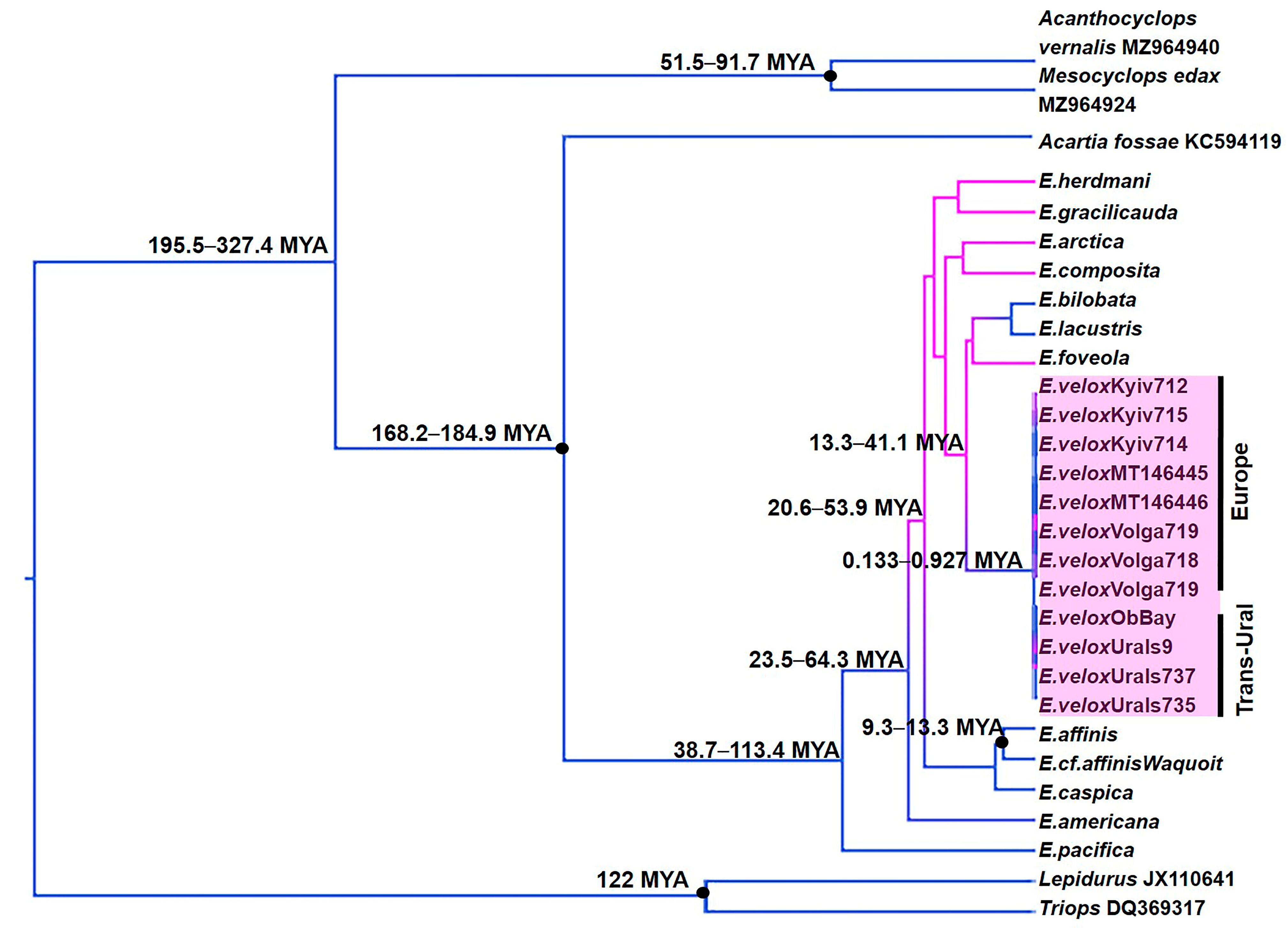 Diversity 16 00047 g003